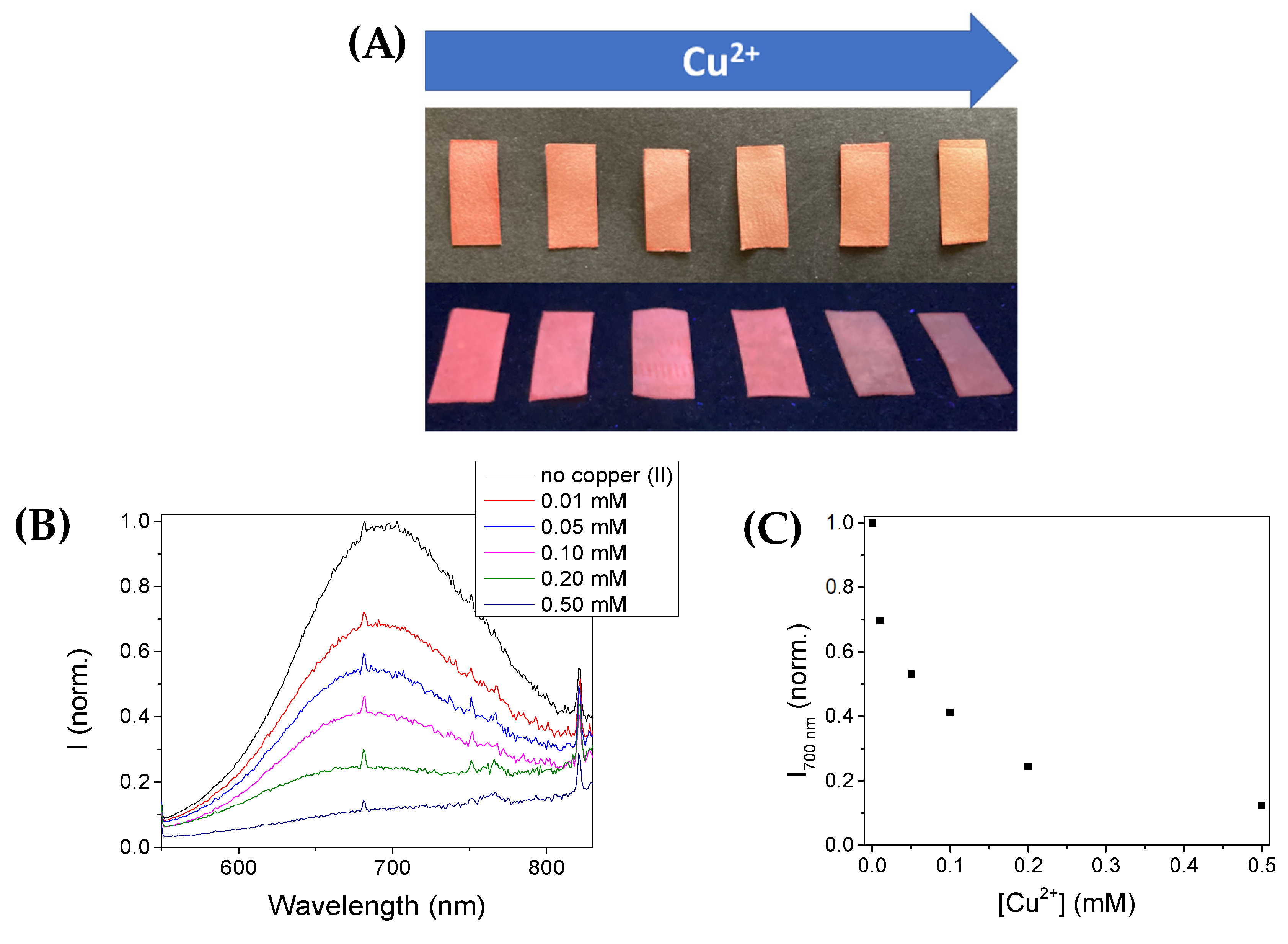 Chemosensors 10 00343 g008 550