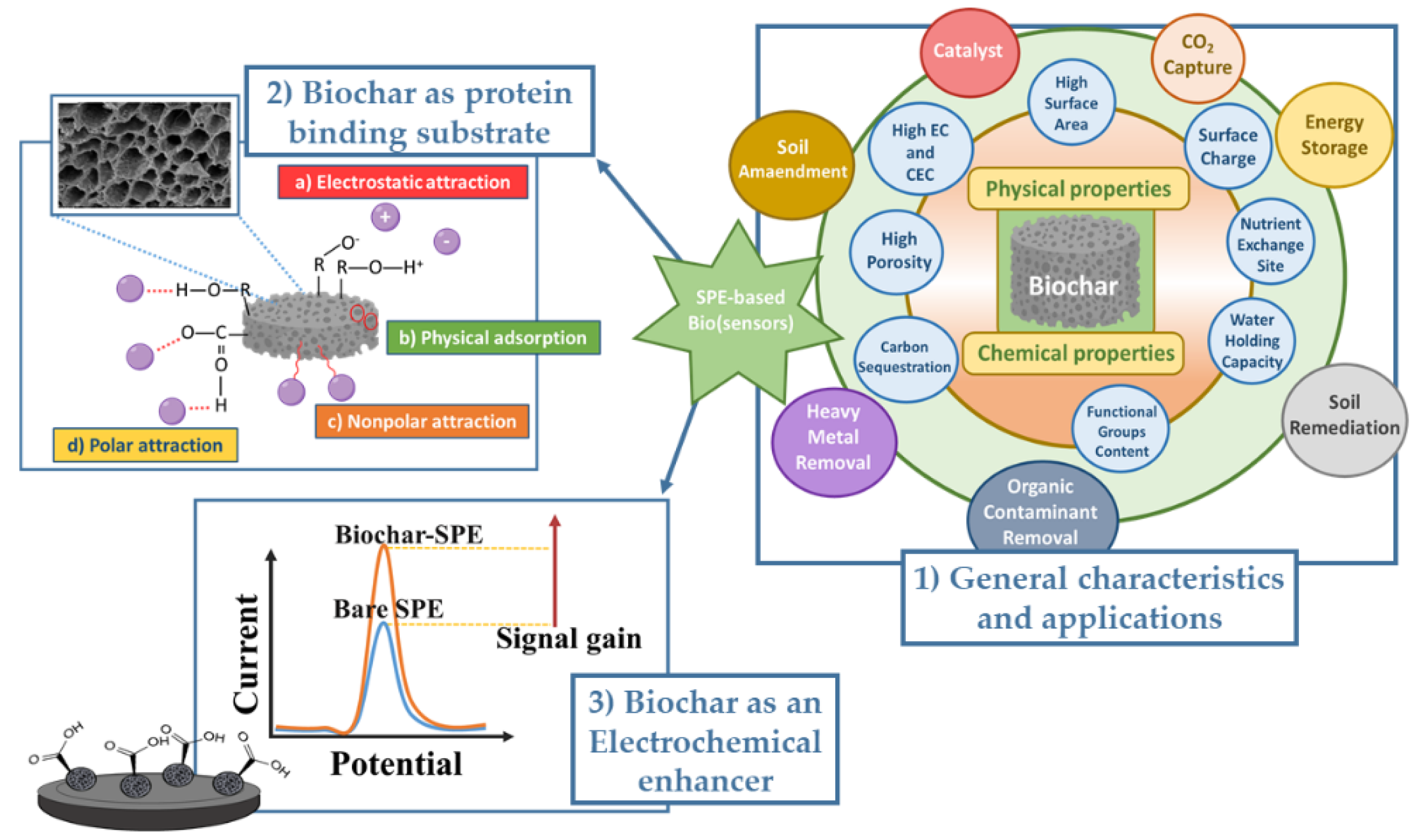 Cellulose nanofibers engineered biochar hybrid materials as 45 off