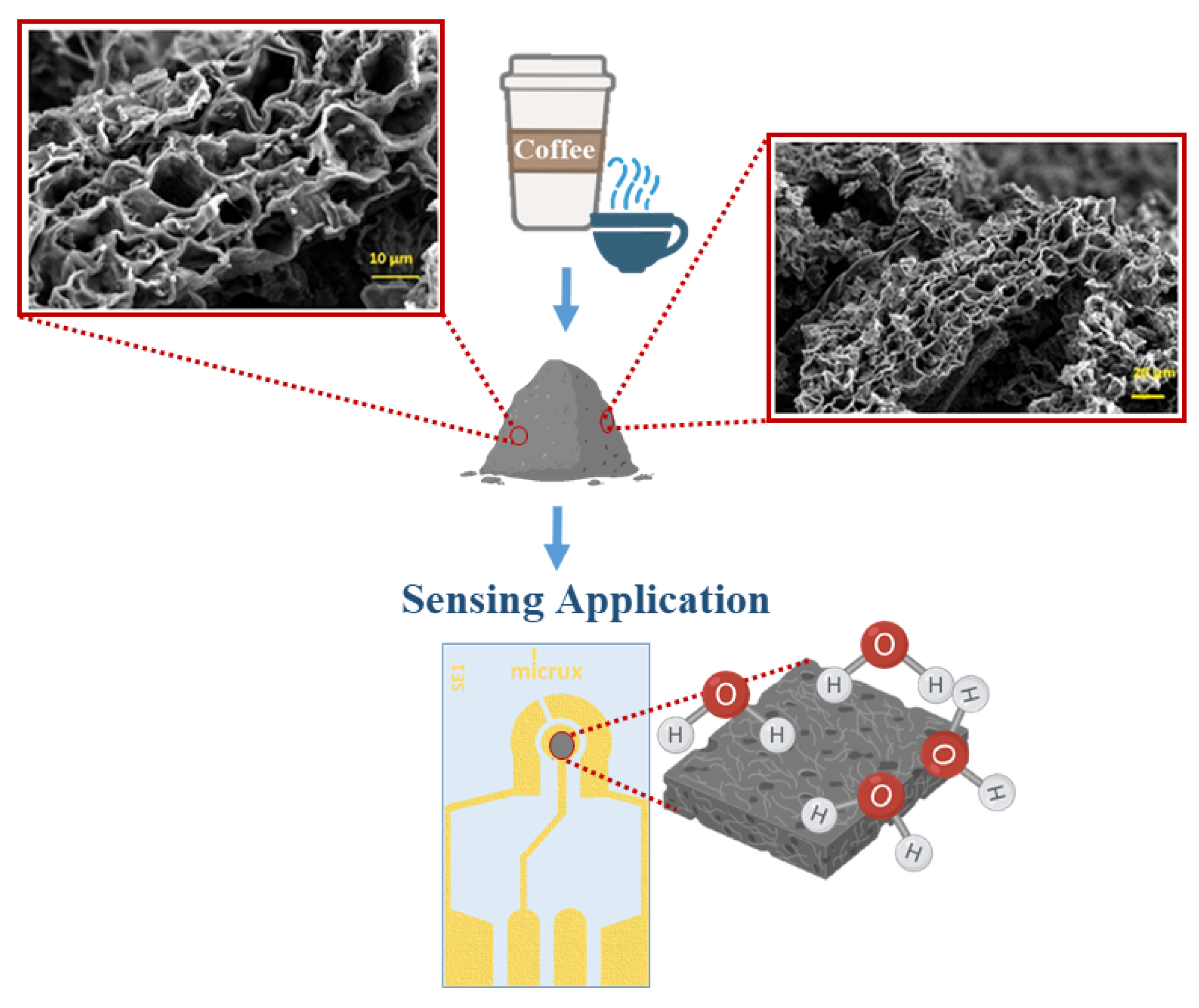 Chemosensors 10 00344 g009