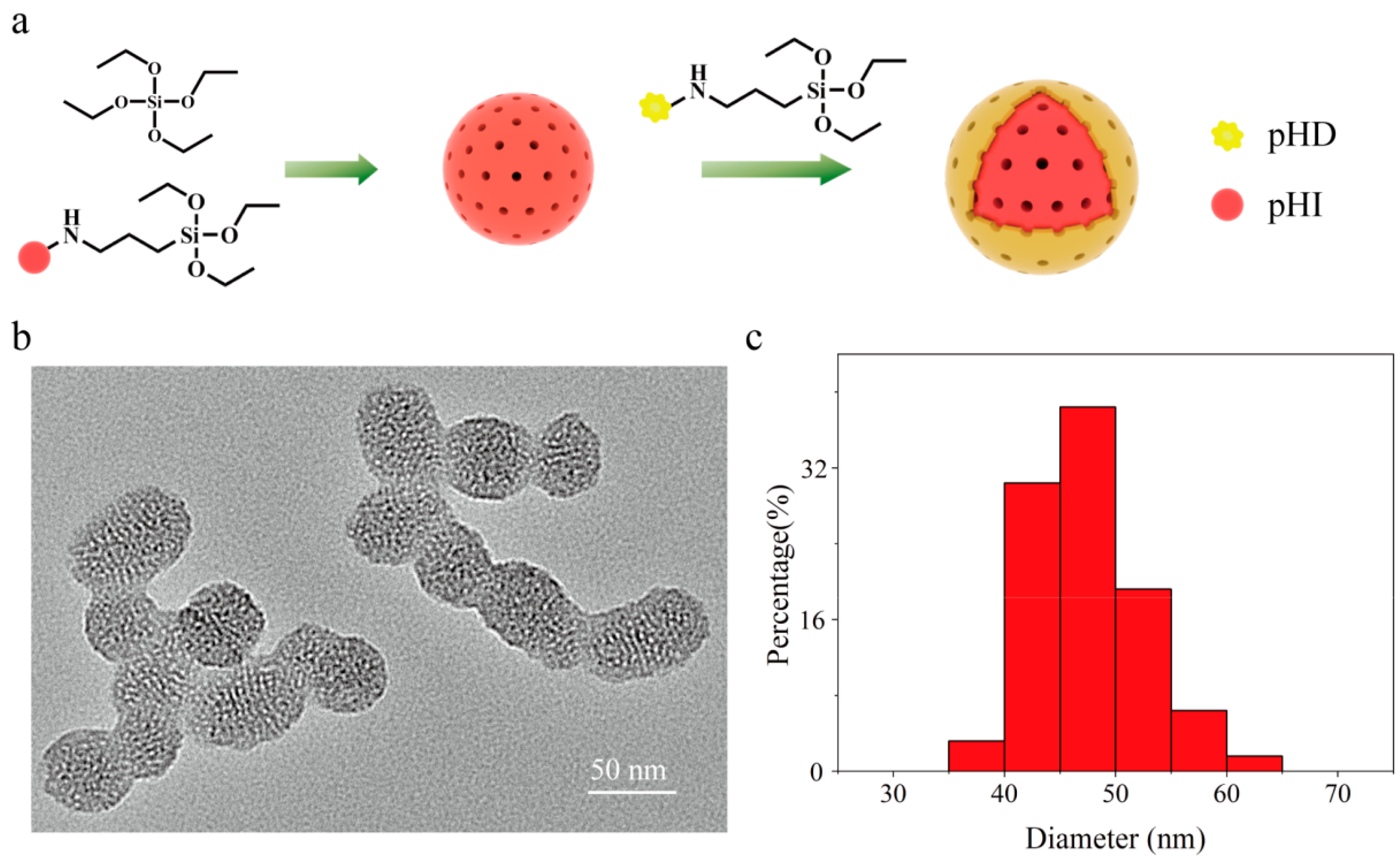 Chemosensors 10 00354 g004