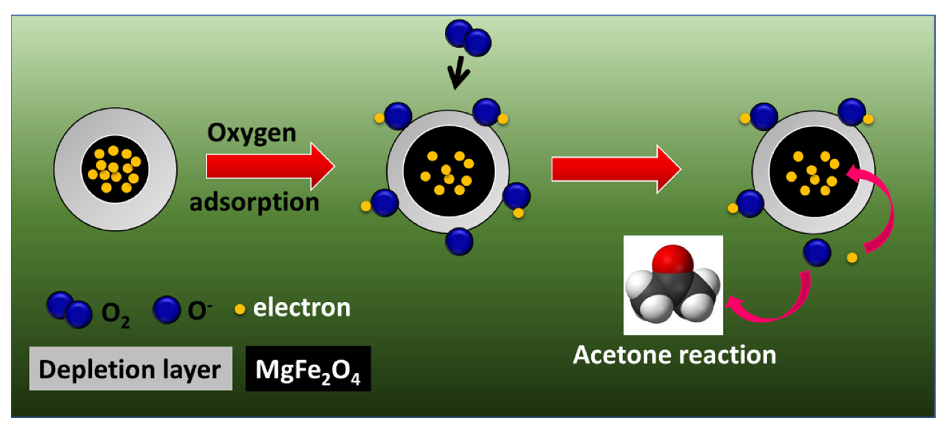 Chemosensors 10 00361 g009 550