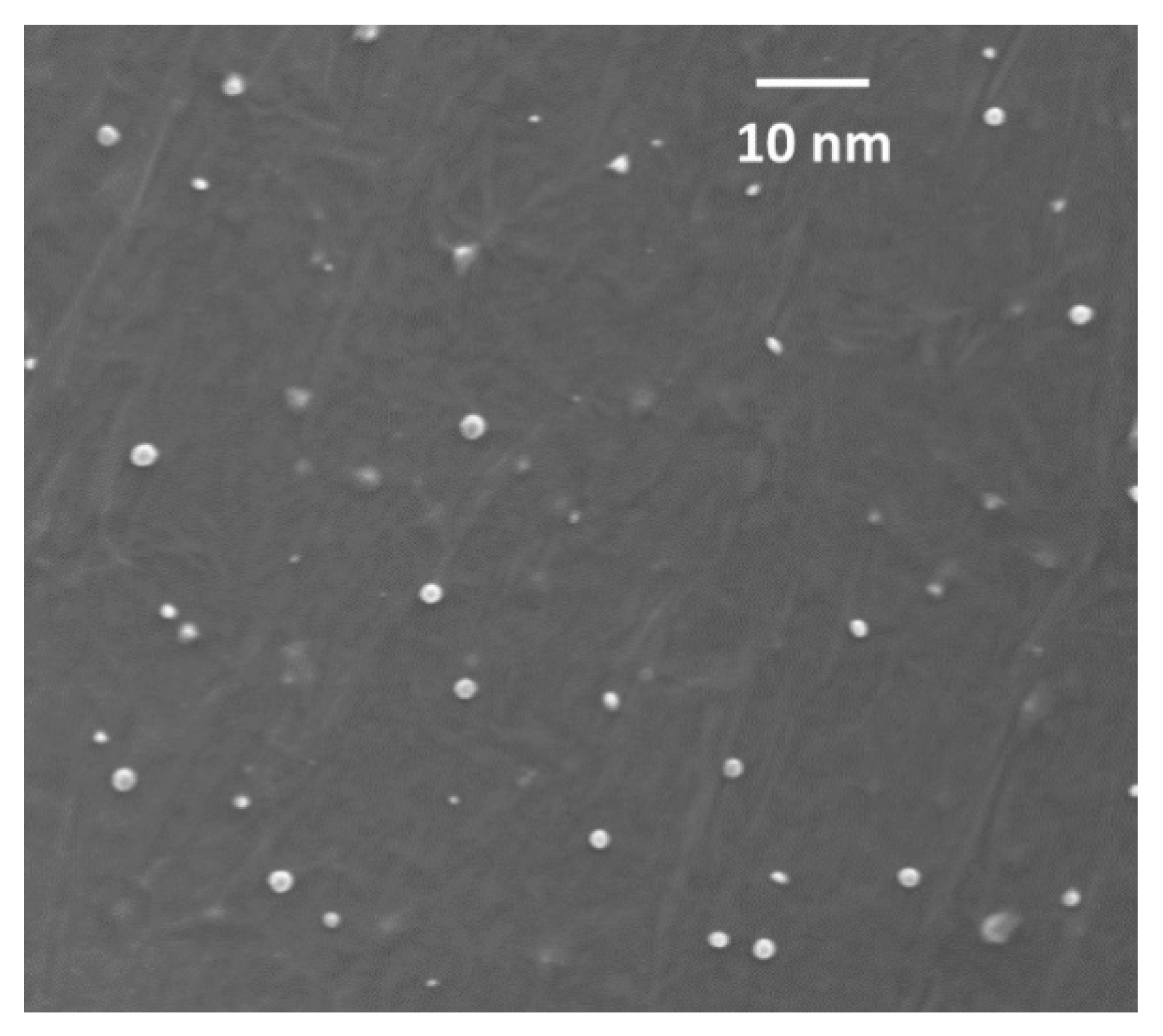 Chemosensors 10 00362 g002 550