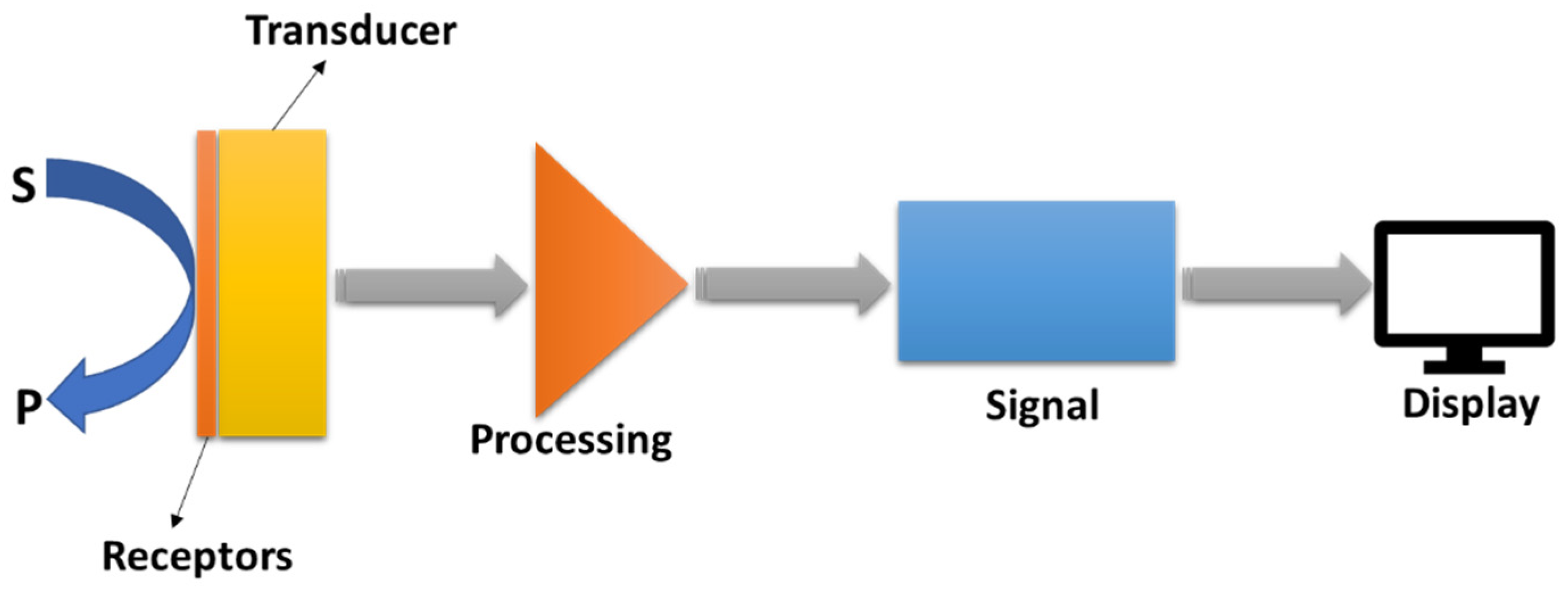 Chemosensors 10 00363 g001