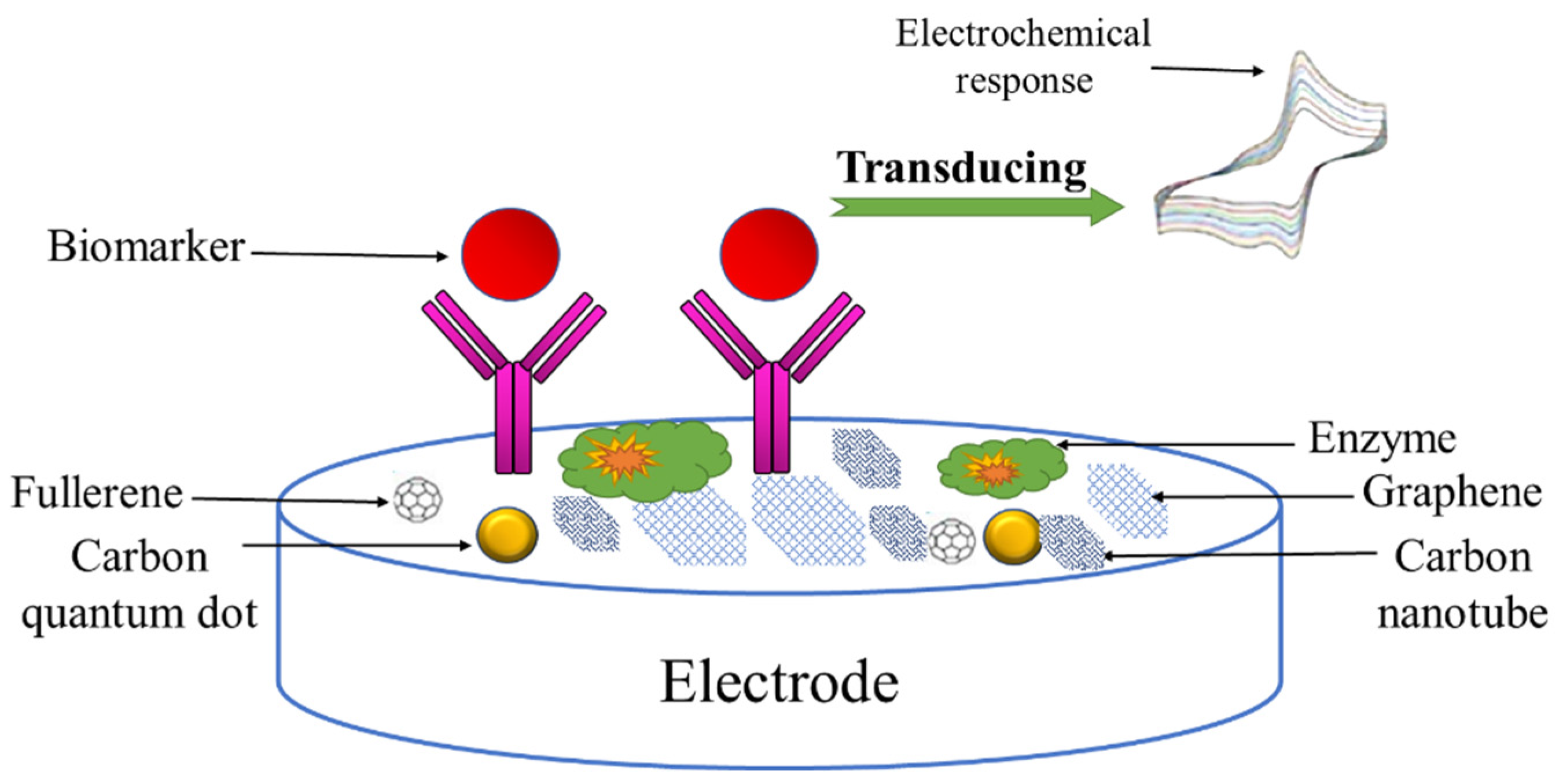 Chemosensors Free FullText Electrochemical Sensors and Their
