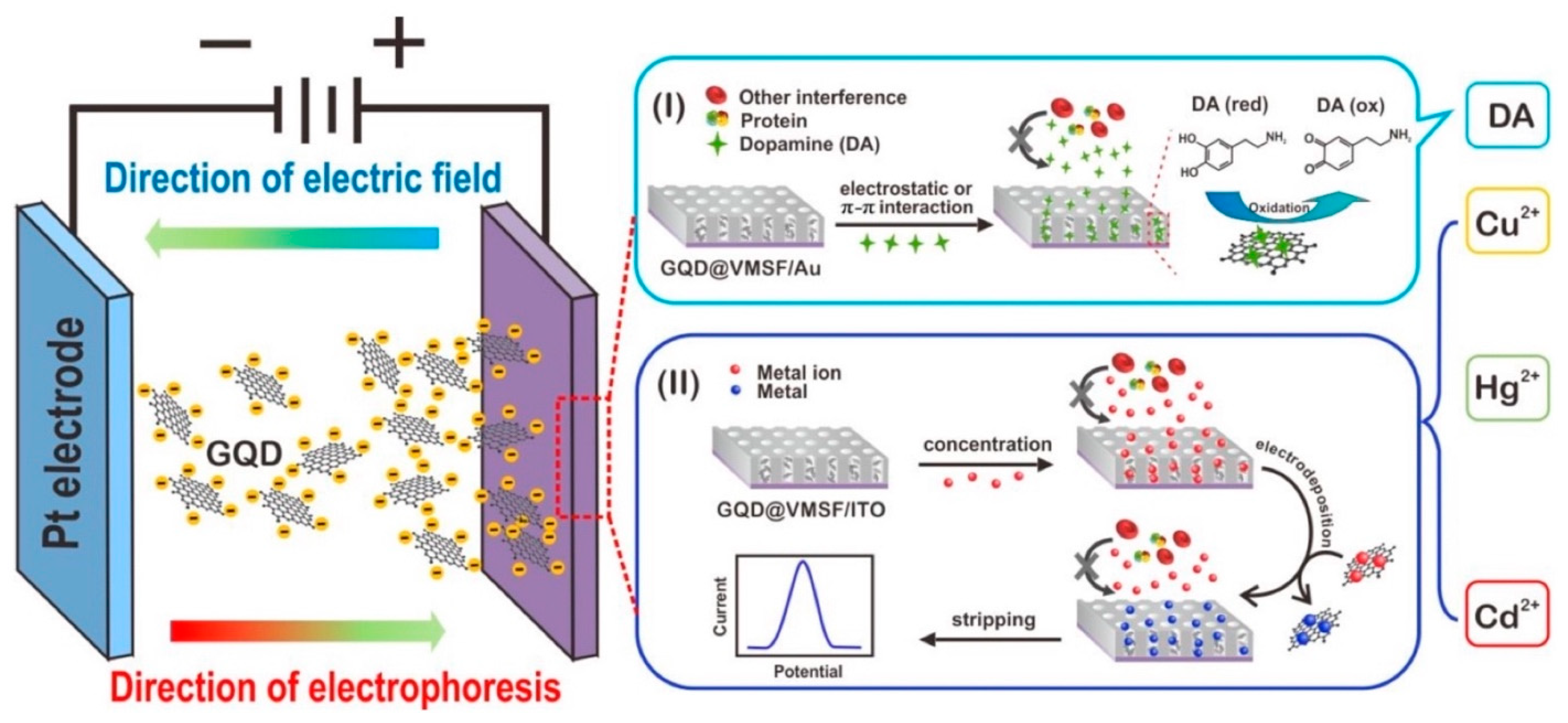 Chemosensors 10 00367 g010