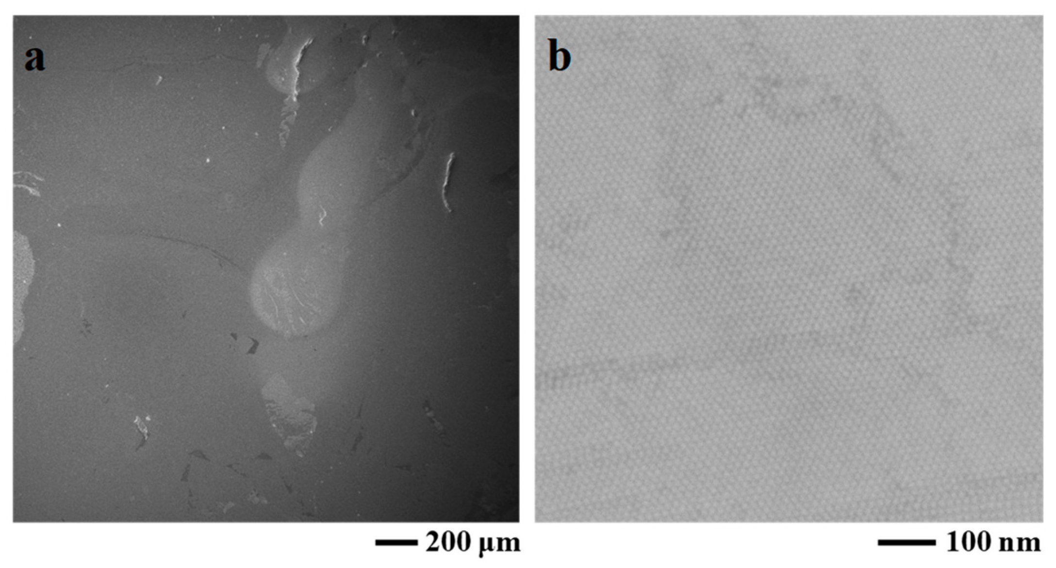 Chemosensors 10 00373 g005