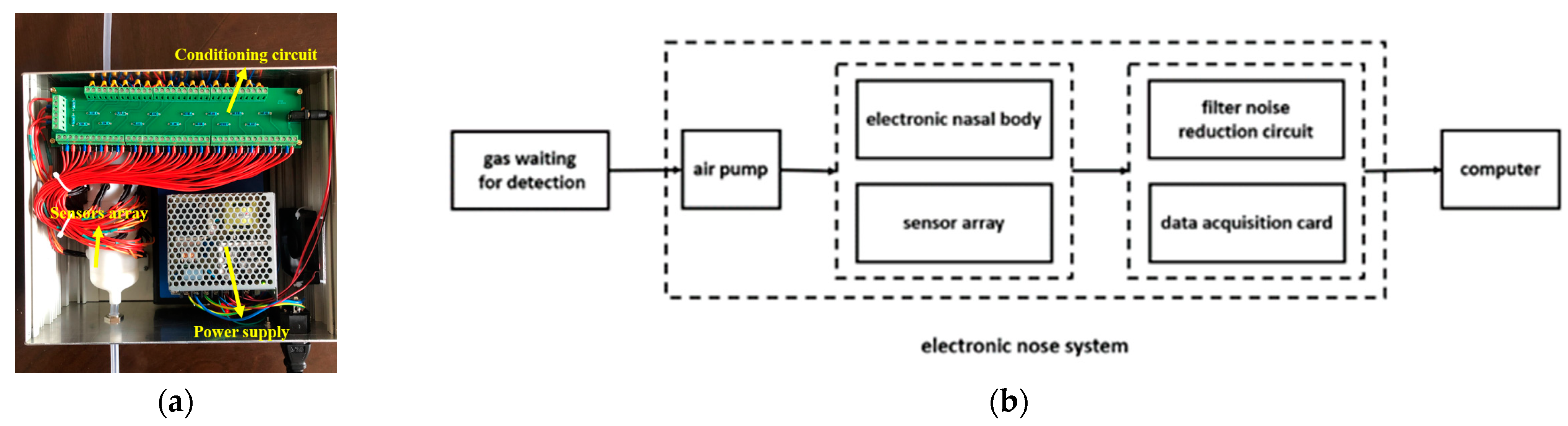 Chemosensors 10 00375 g001
