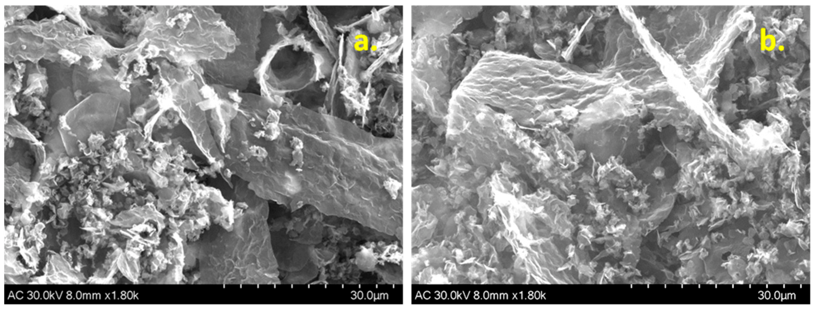 Chemosensors 10 00380 g005