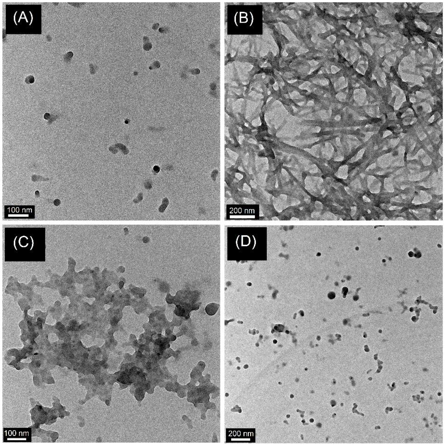 Chemosensors 10 00381 g007