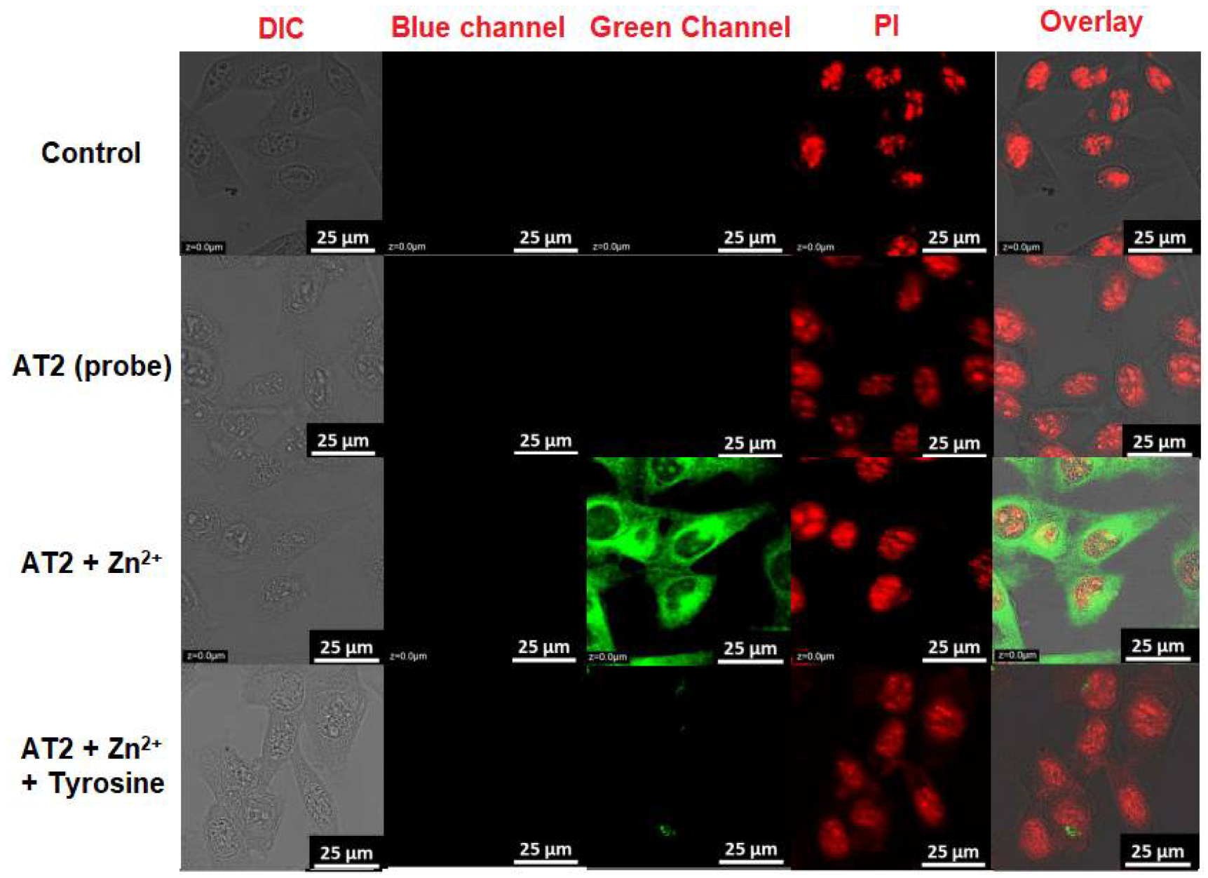 Chemosensors 10 00381 g010