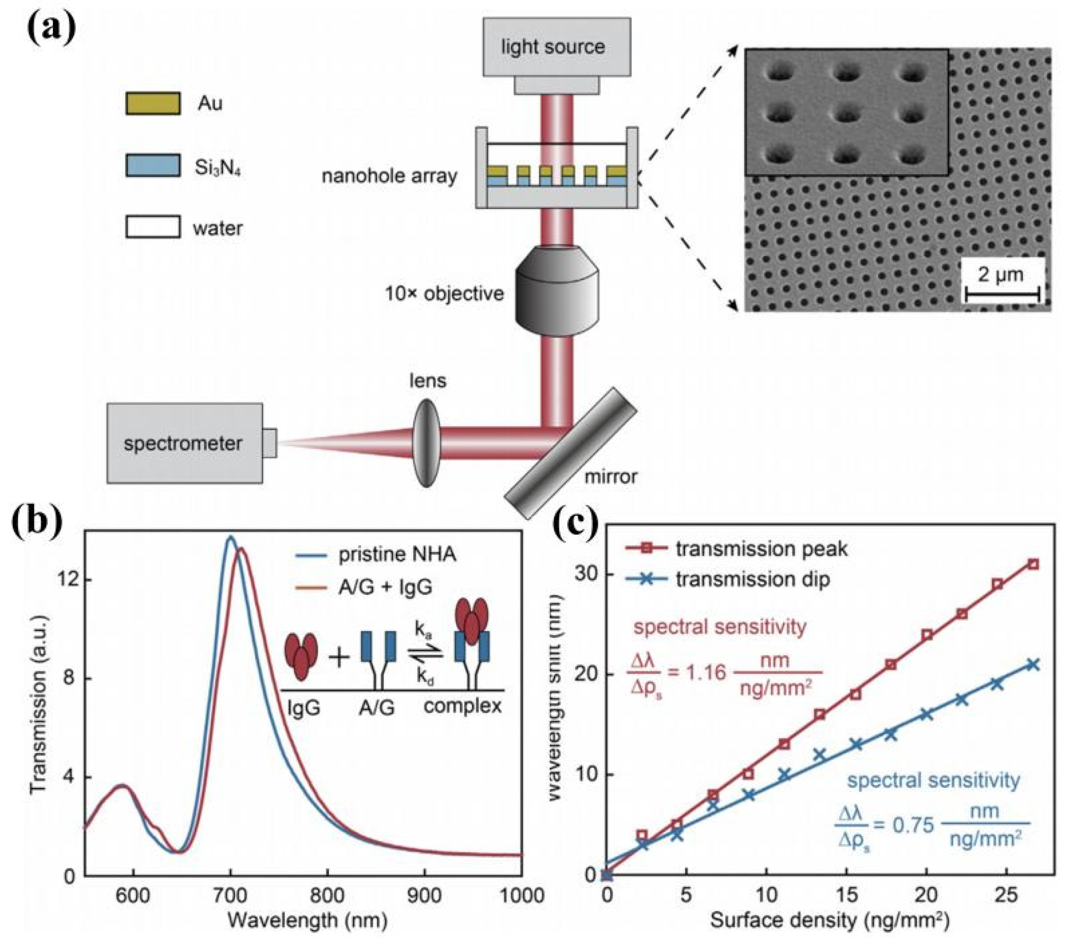 Chemosensors 10 00397 g008