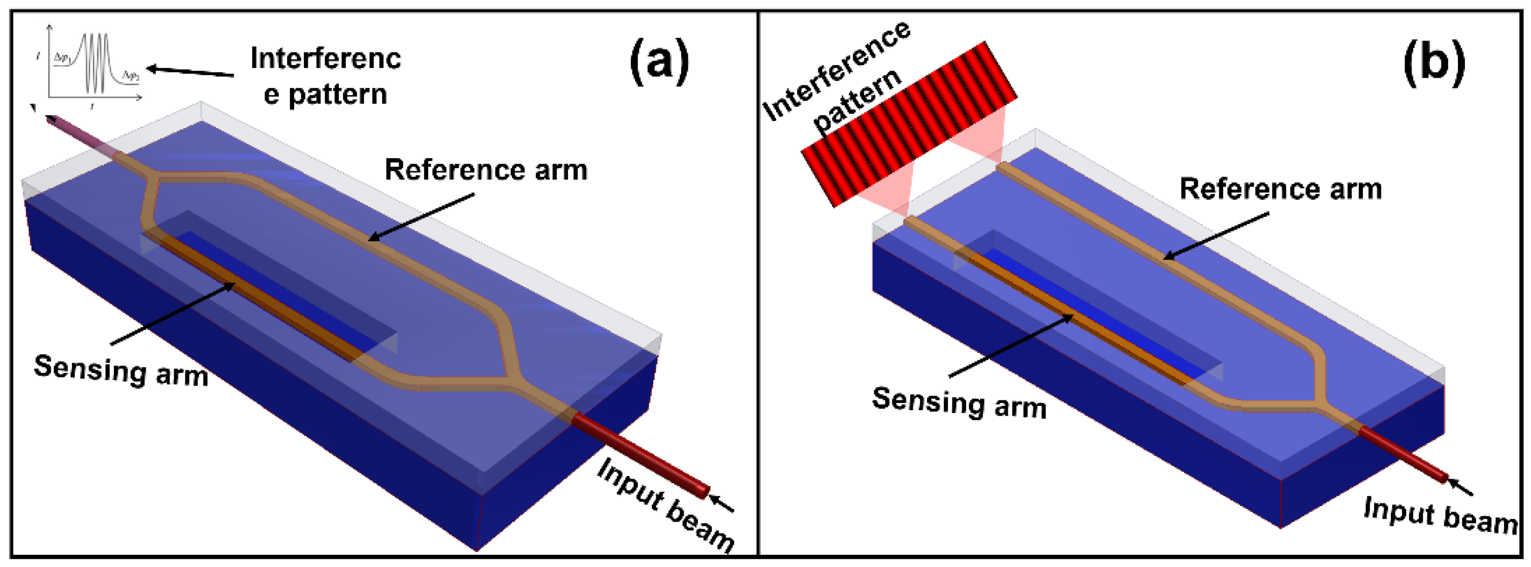 Chemosensors 10 00398 g001