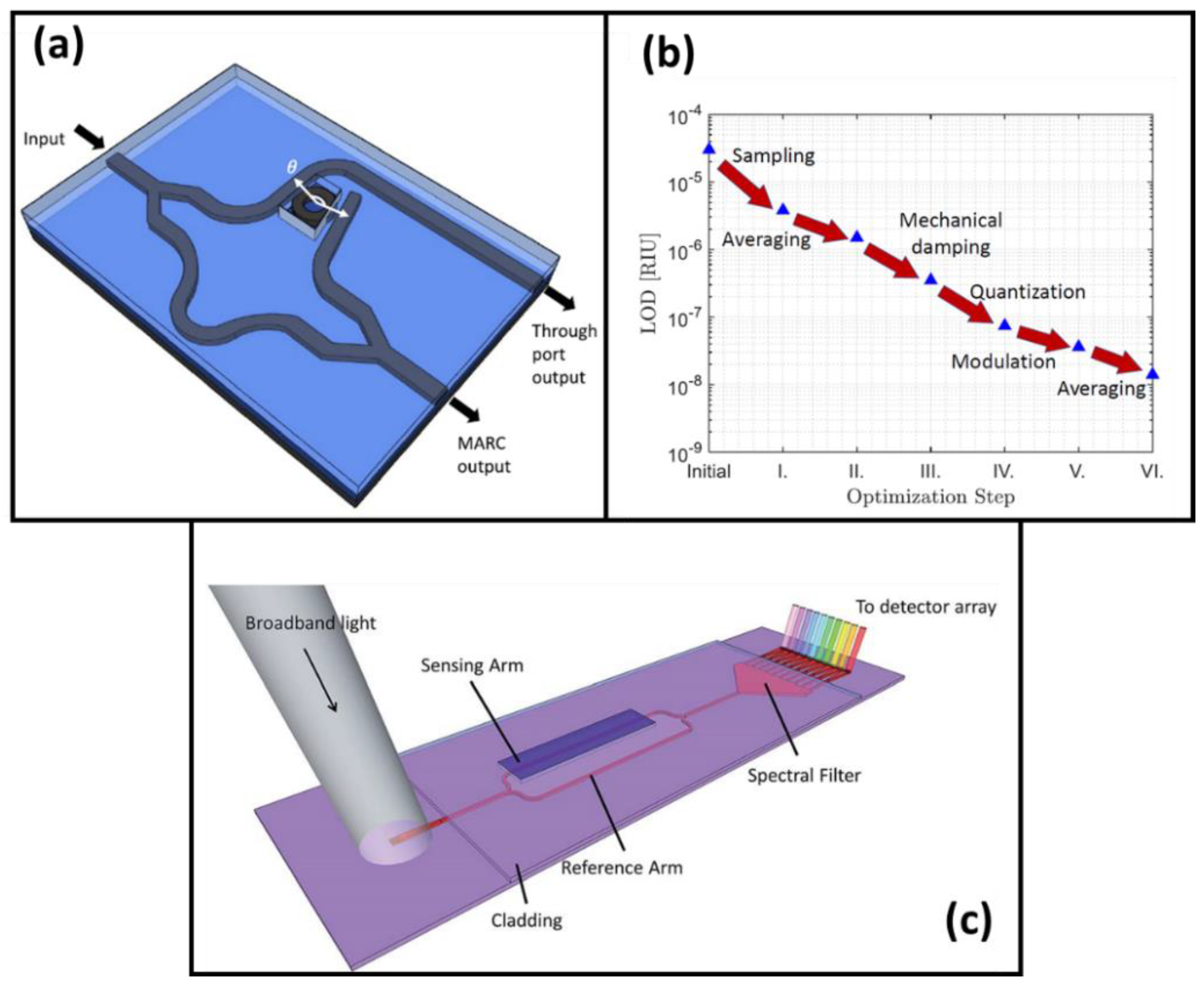 Chemosensors 10 00398 g002