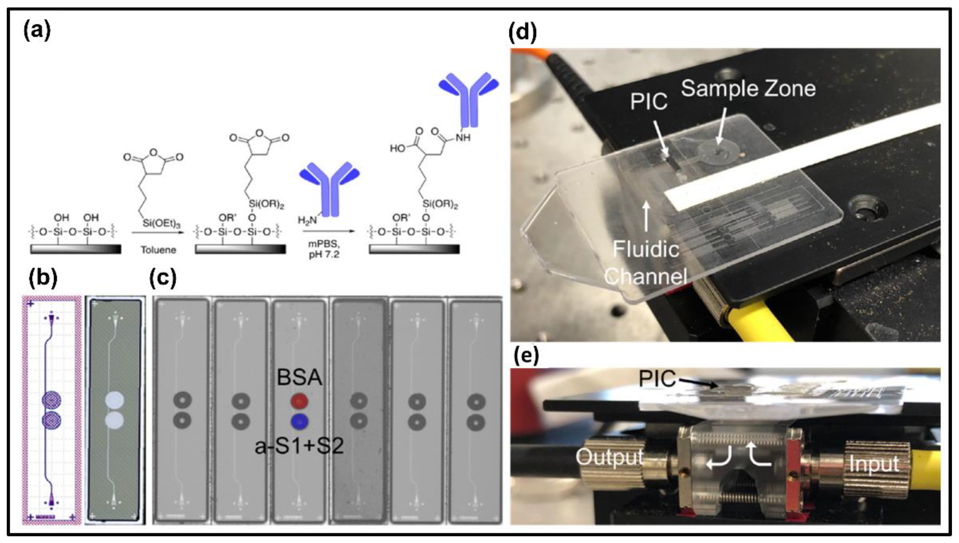 Chemosensors 10 00398 g005
