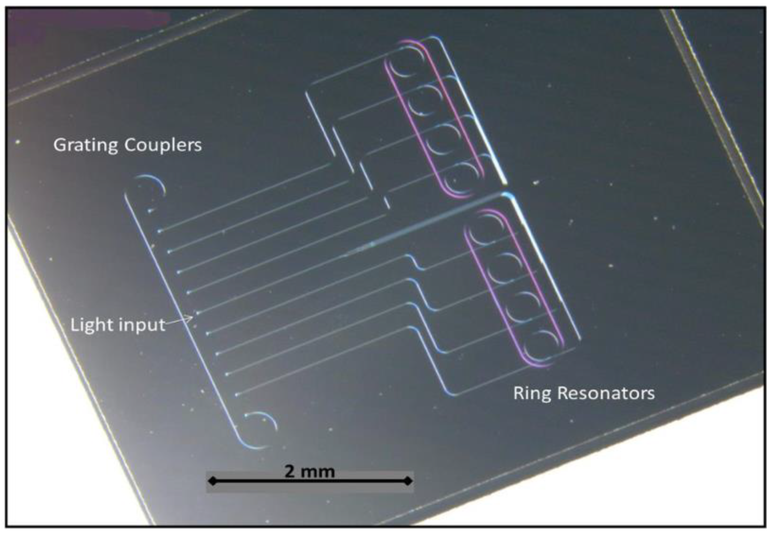 Chemosensors 10 00398 g006