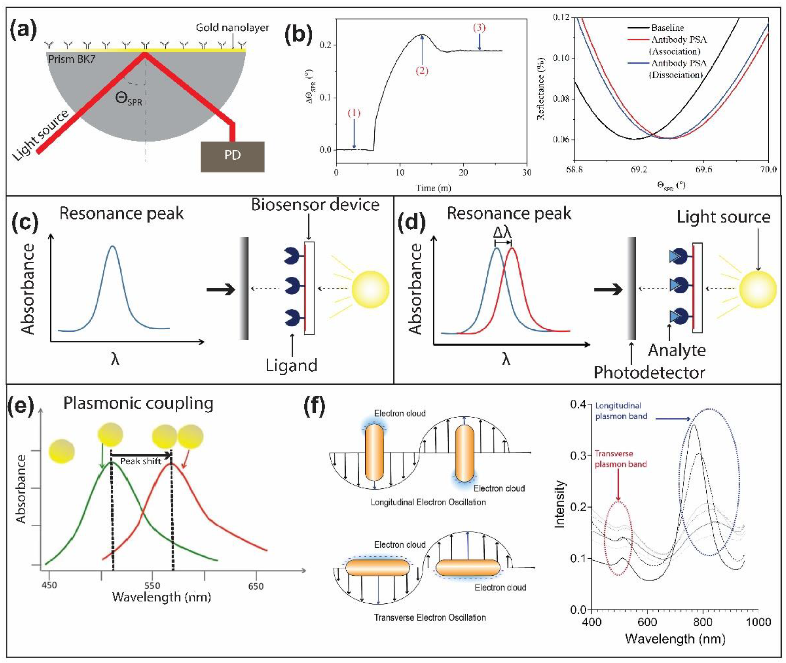Chemosensors 10 00398 g010