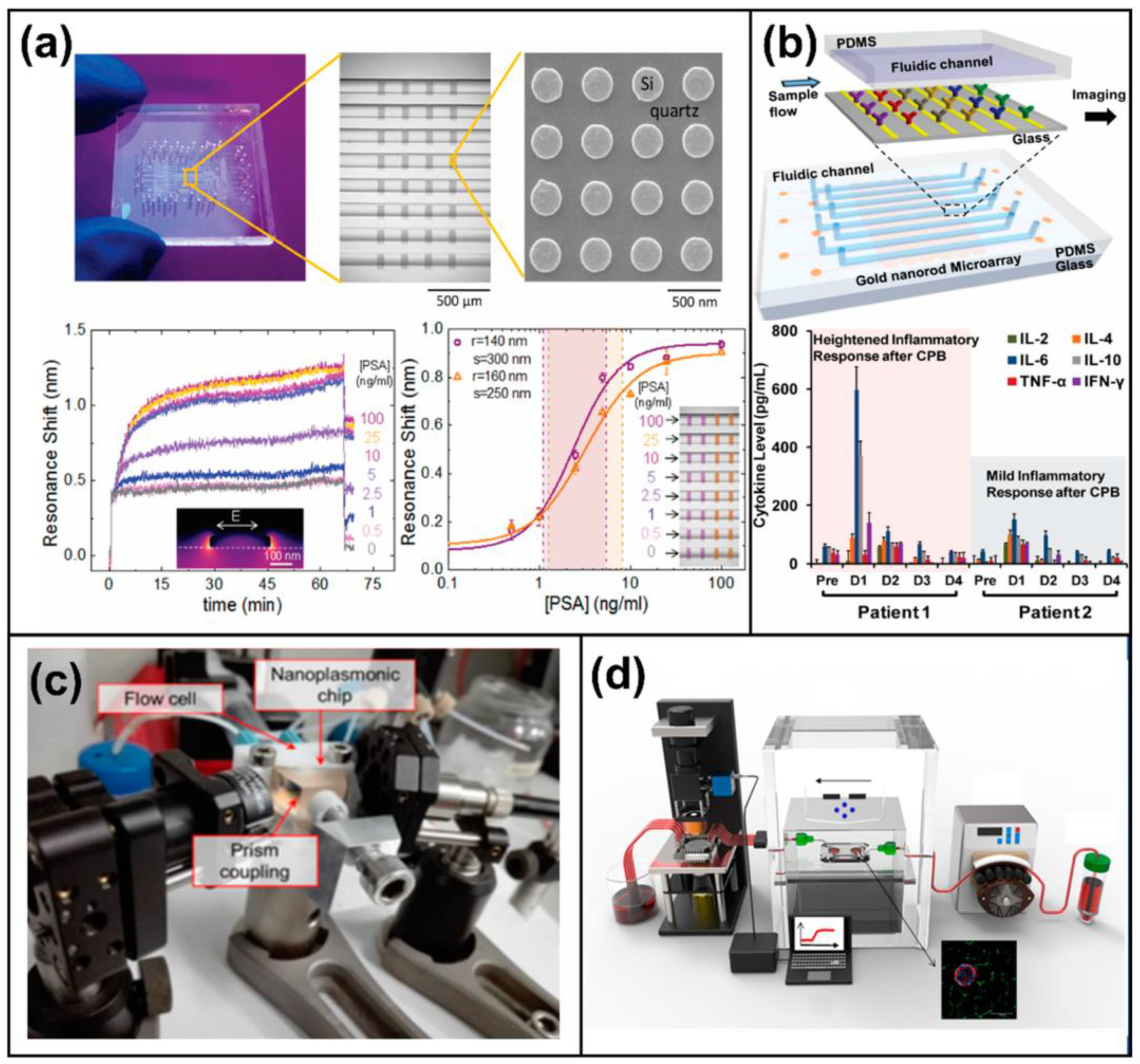 Chemosensors 10 00398 g011