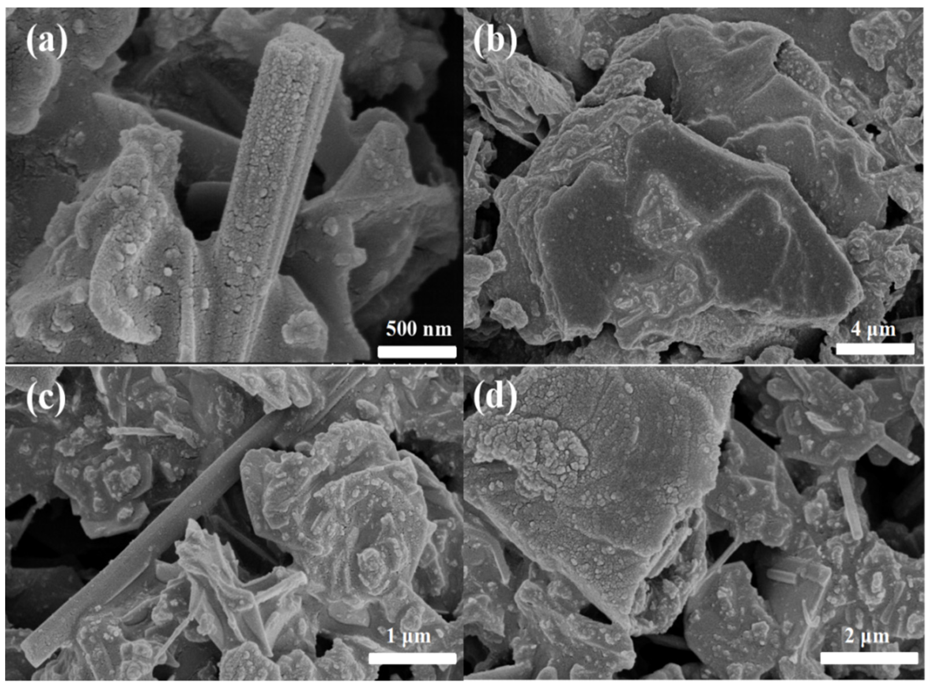 Chemosensors 10 00401 g005