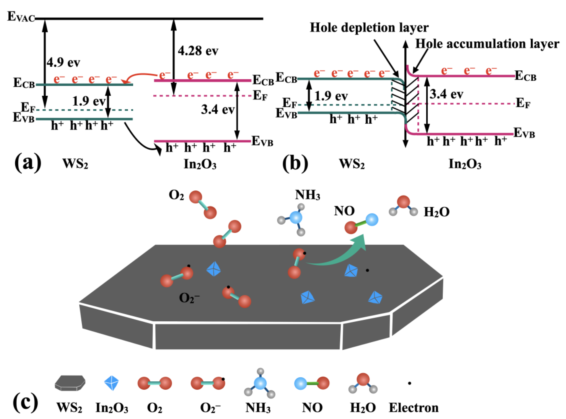 Chemosensors 10 00402 g006