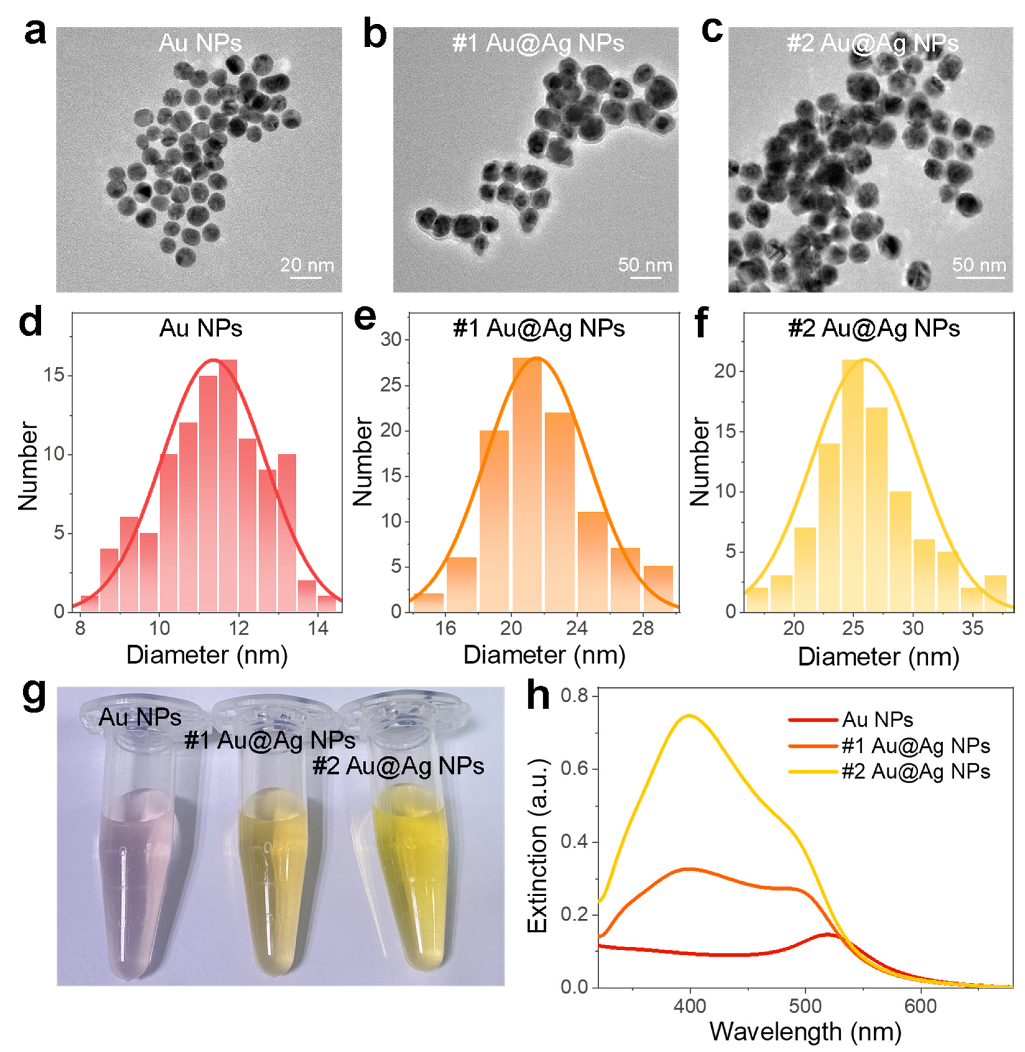 Chemosensors 10 00404 g001