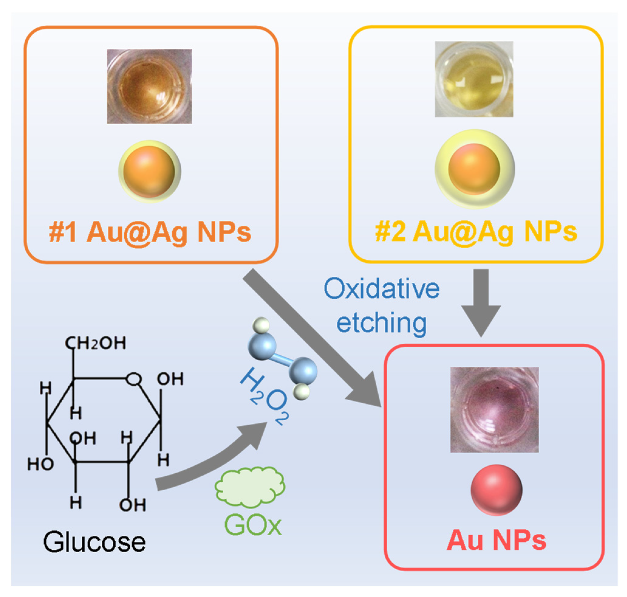 Chemosensors 10 00404 sch002