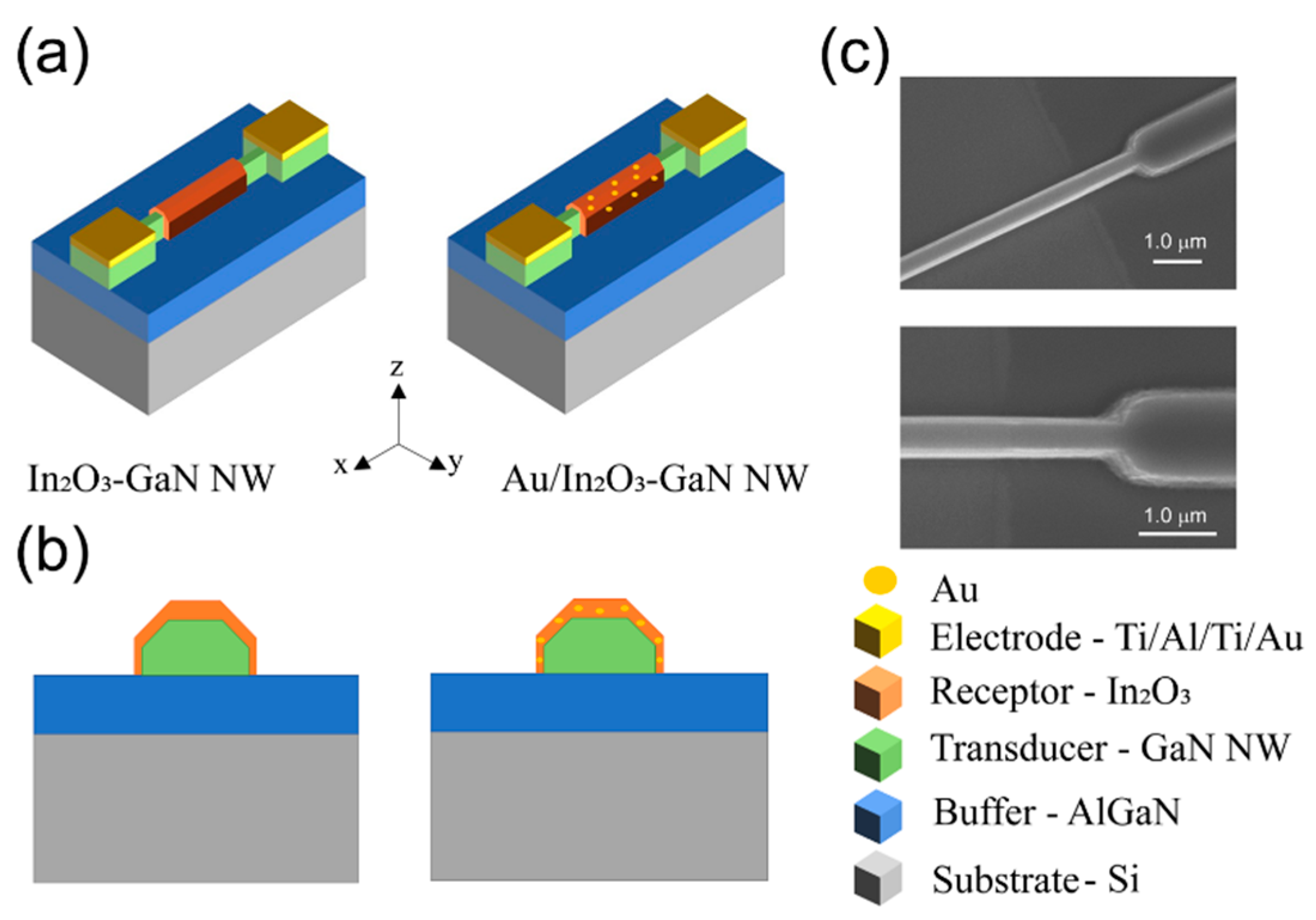 Chemosensors 10 00405 g001