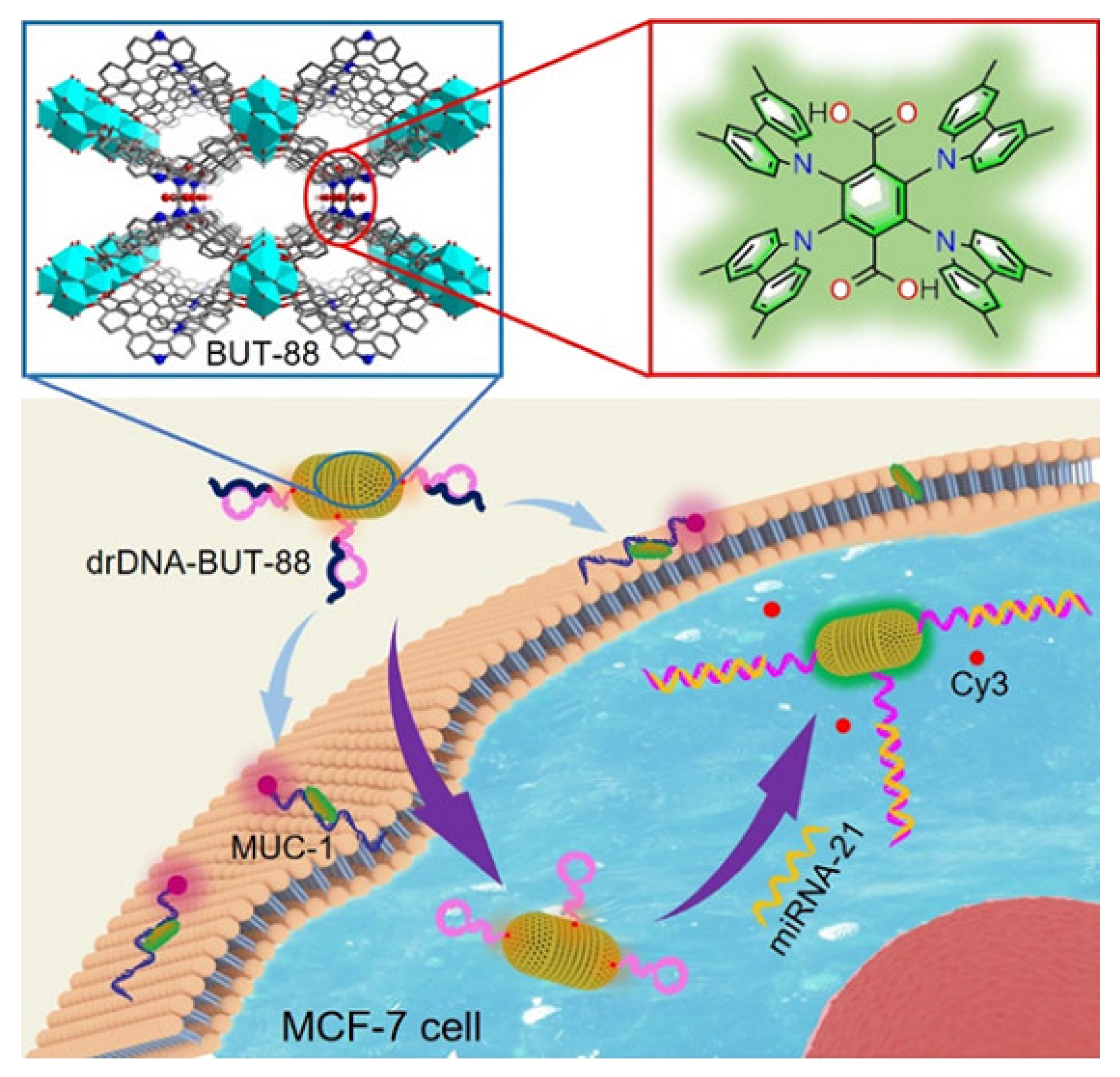 Bimetallic Metal–Organic Framework Fe/Co-MIL-88(NH2) Exhibiting High  Peroxidase-like Activity and Its Application in Detection of Extracellular  Vesicles