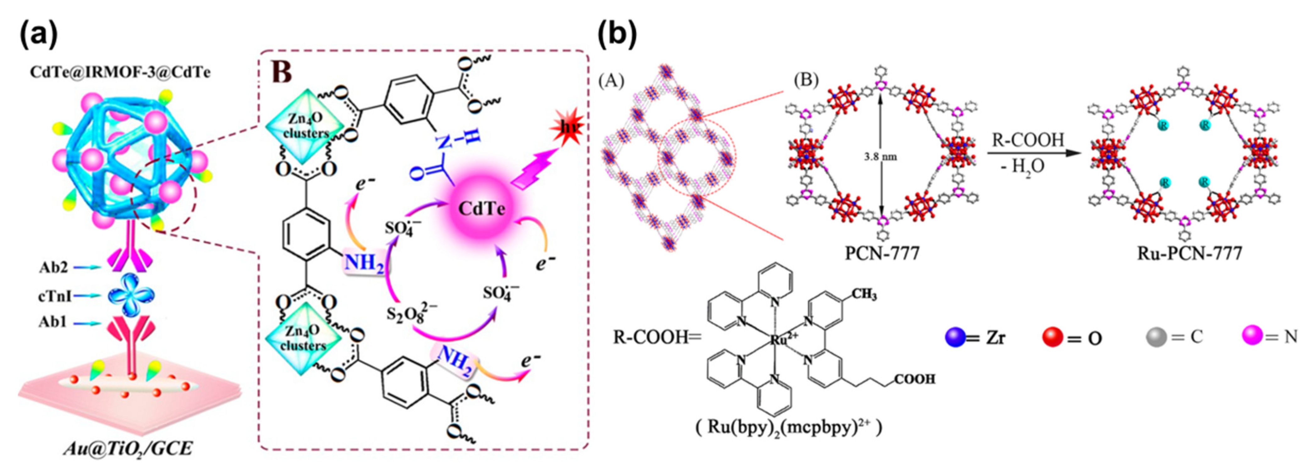 Chemosensors 10 00412 g004