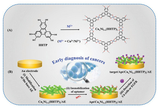 Recent Advances in Metal-Organic Frameworks for