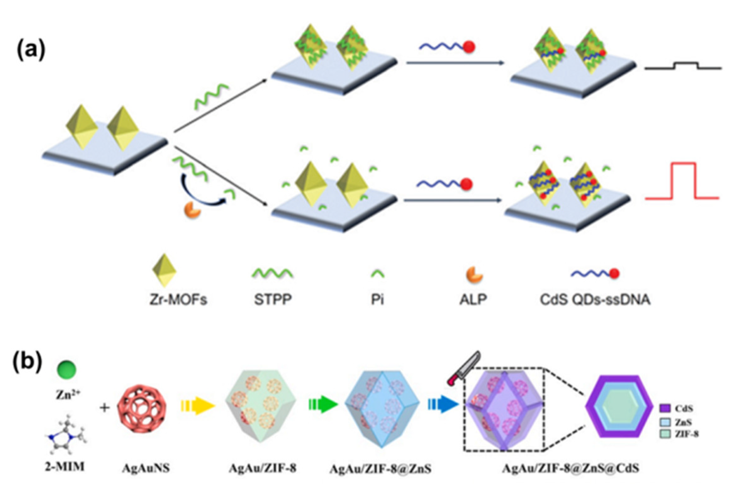 Chemosensors 10 00412 g006