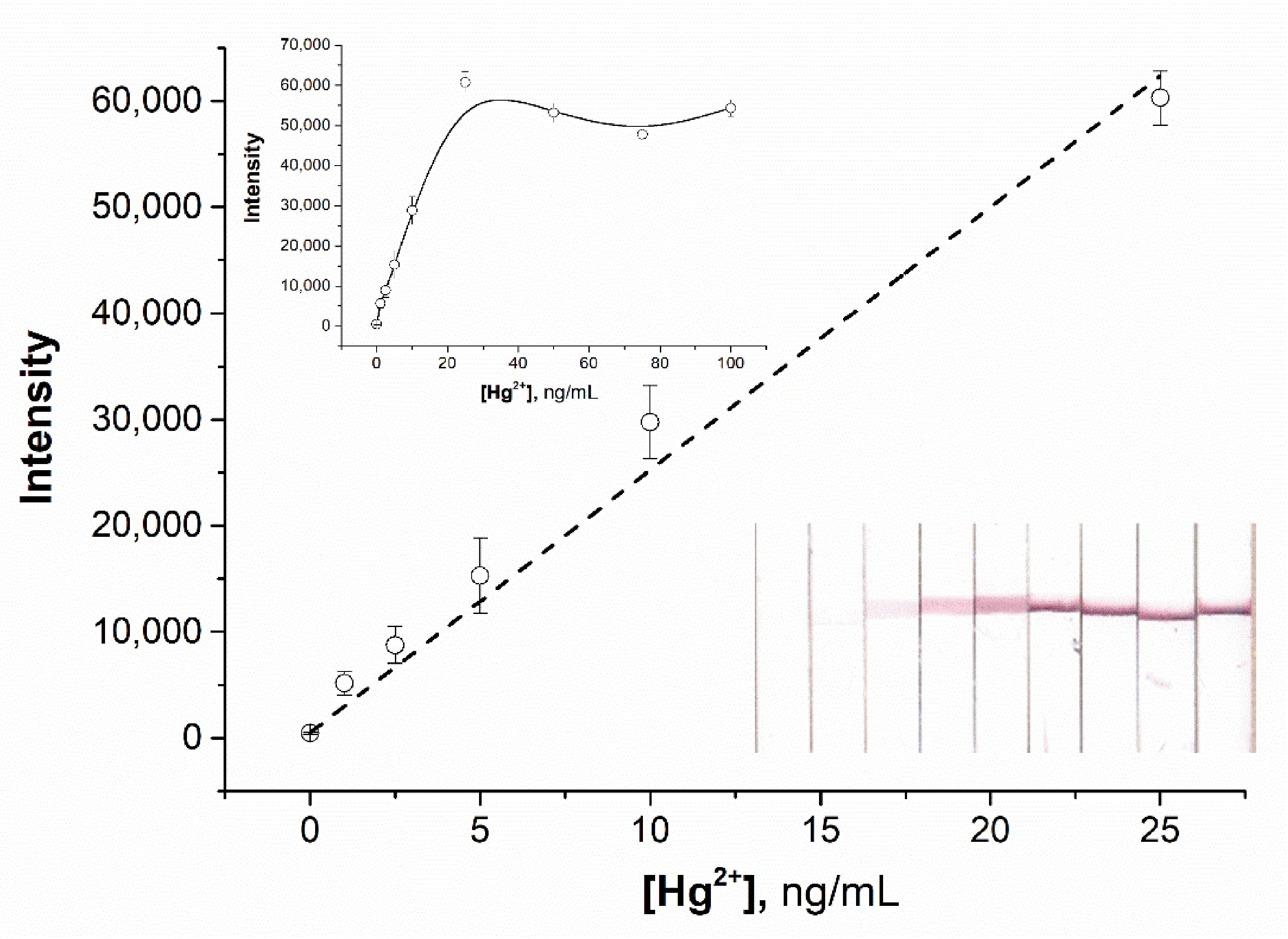Chemosensors 10 00413 g008