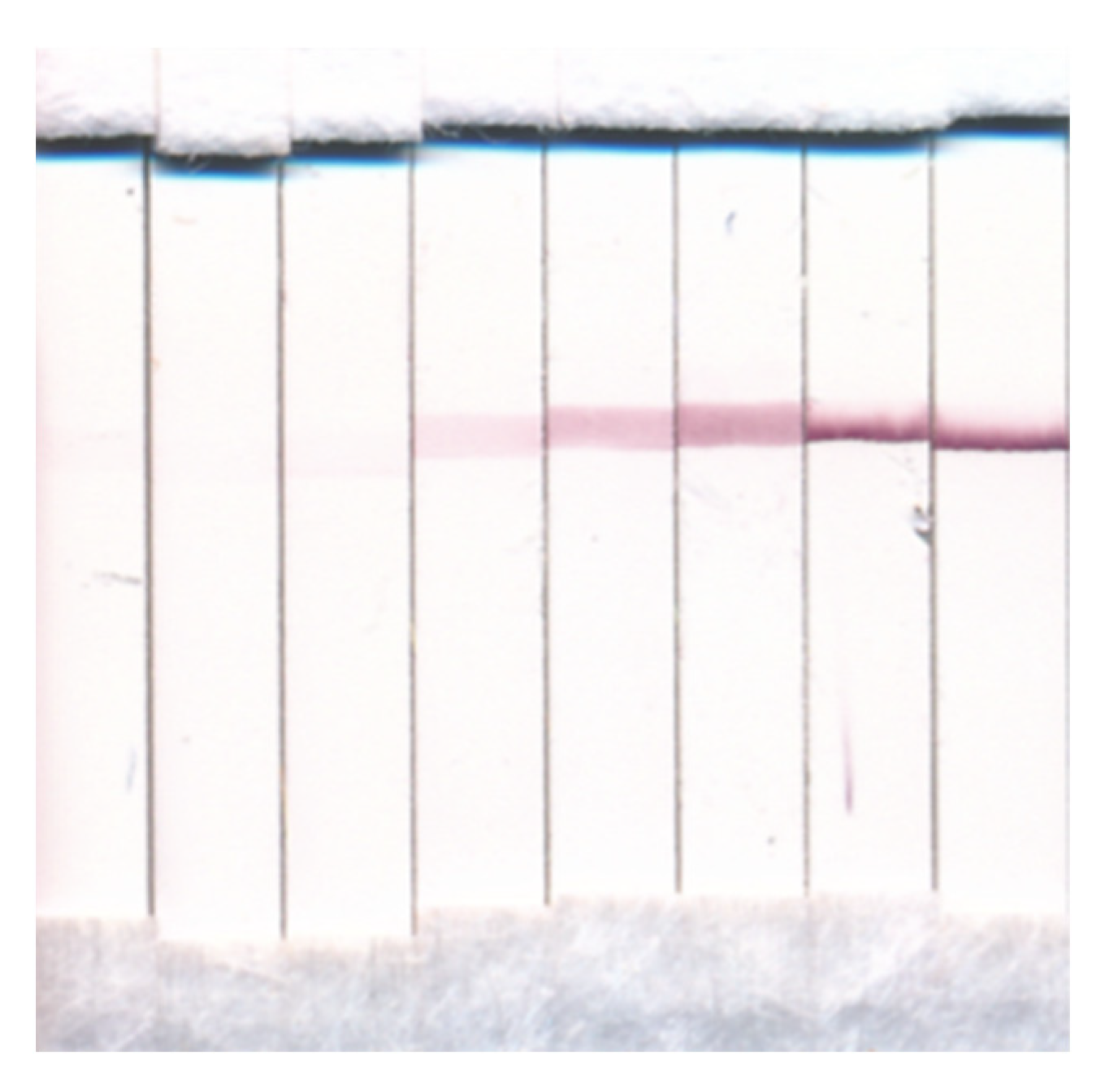 Chemosensors 10 00413 g010