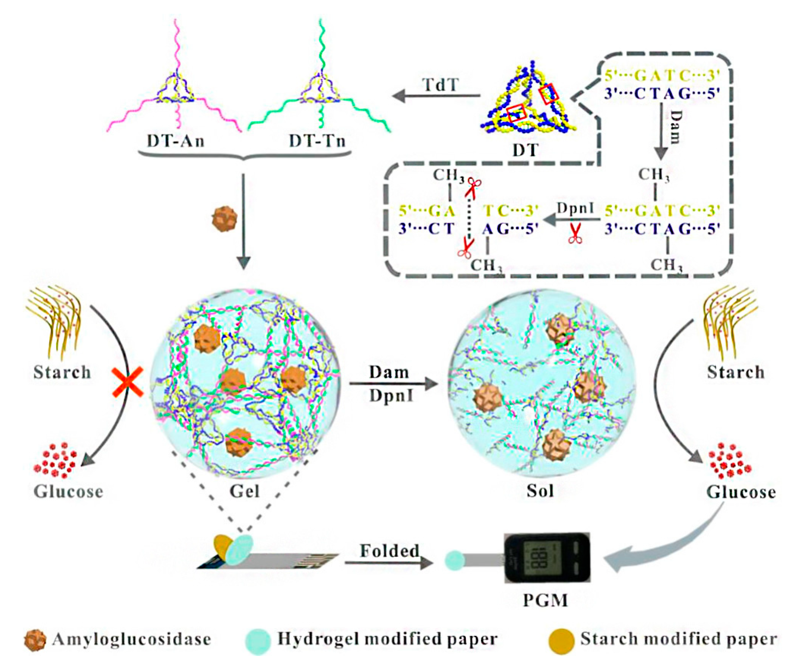 Chemosensors 10 00415 g009