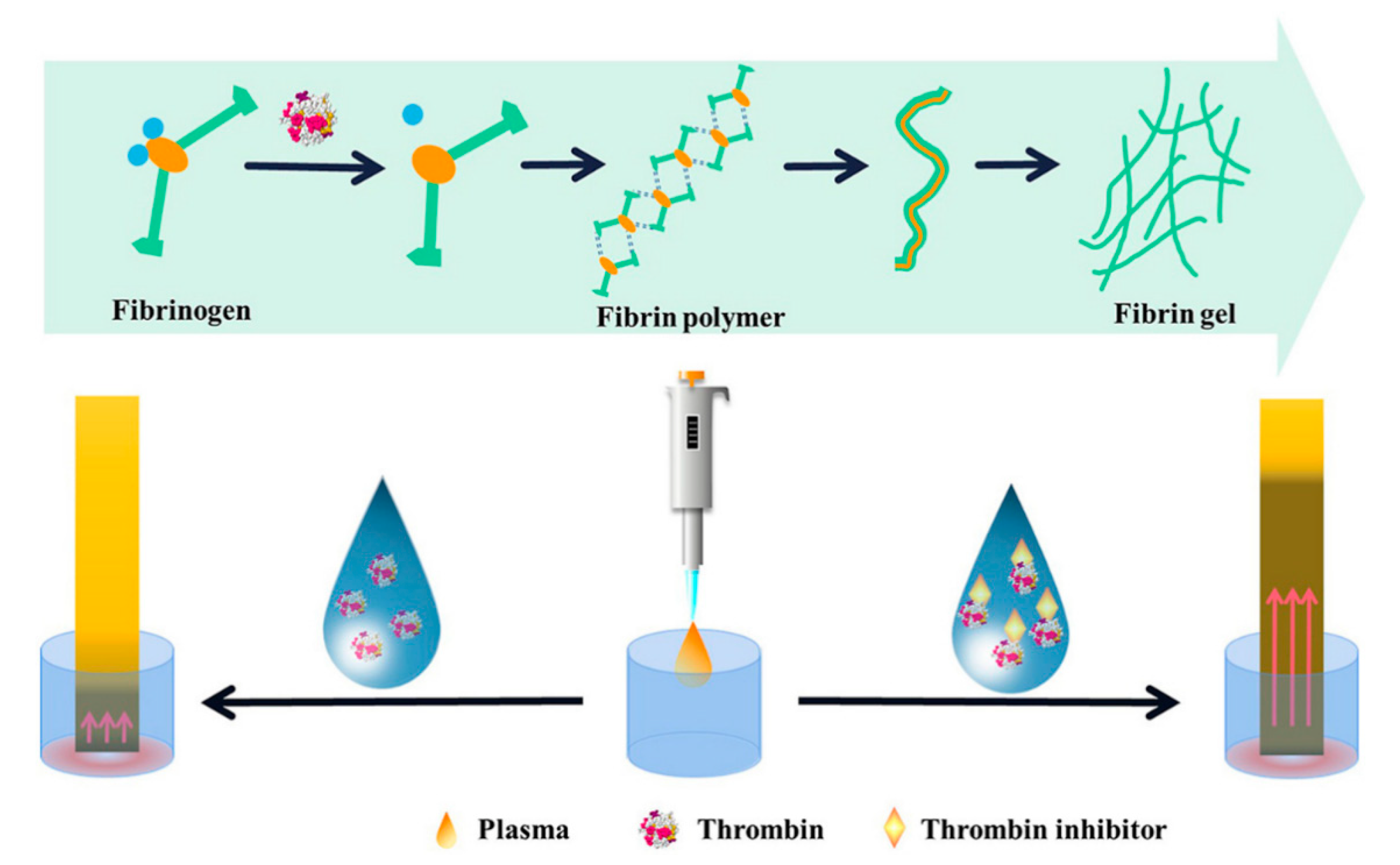 Chemosensors 10 00415 g013