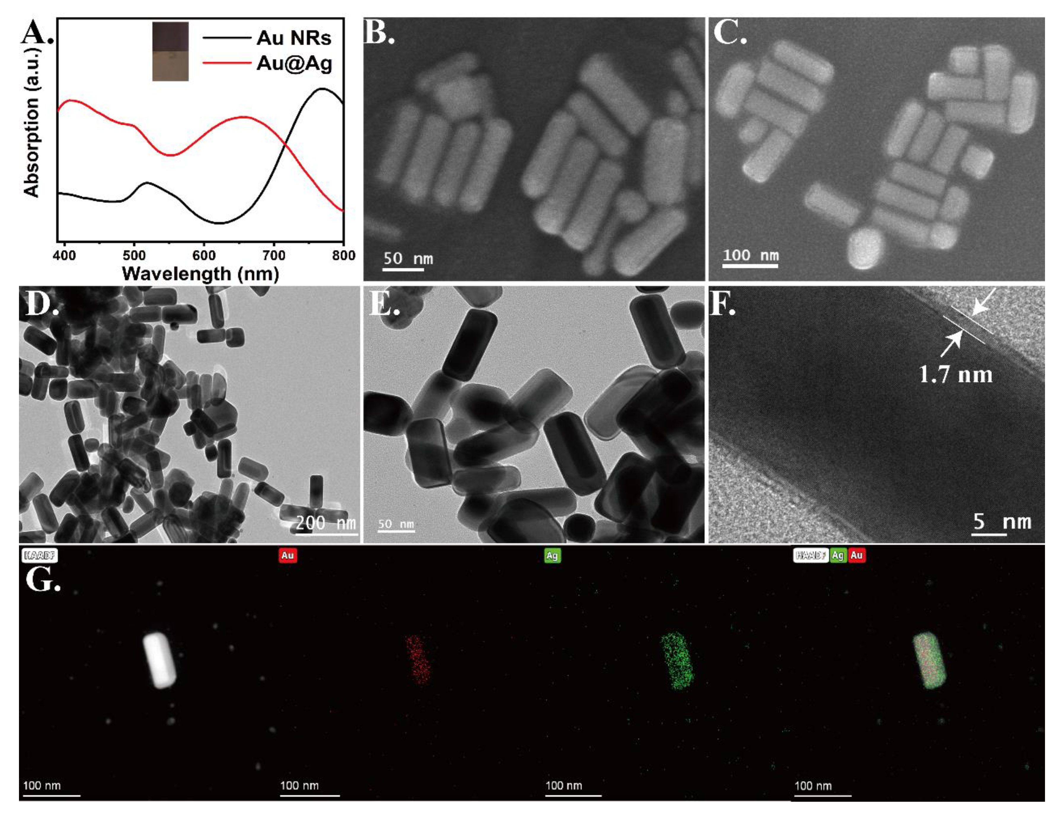 Chemosensors 10 00423 g001