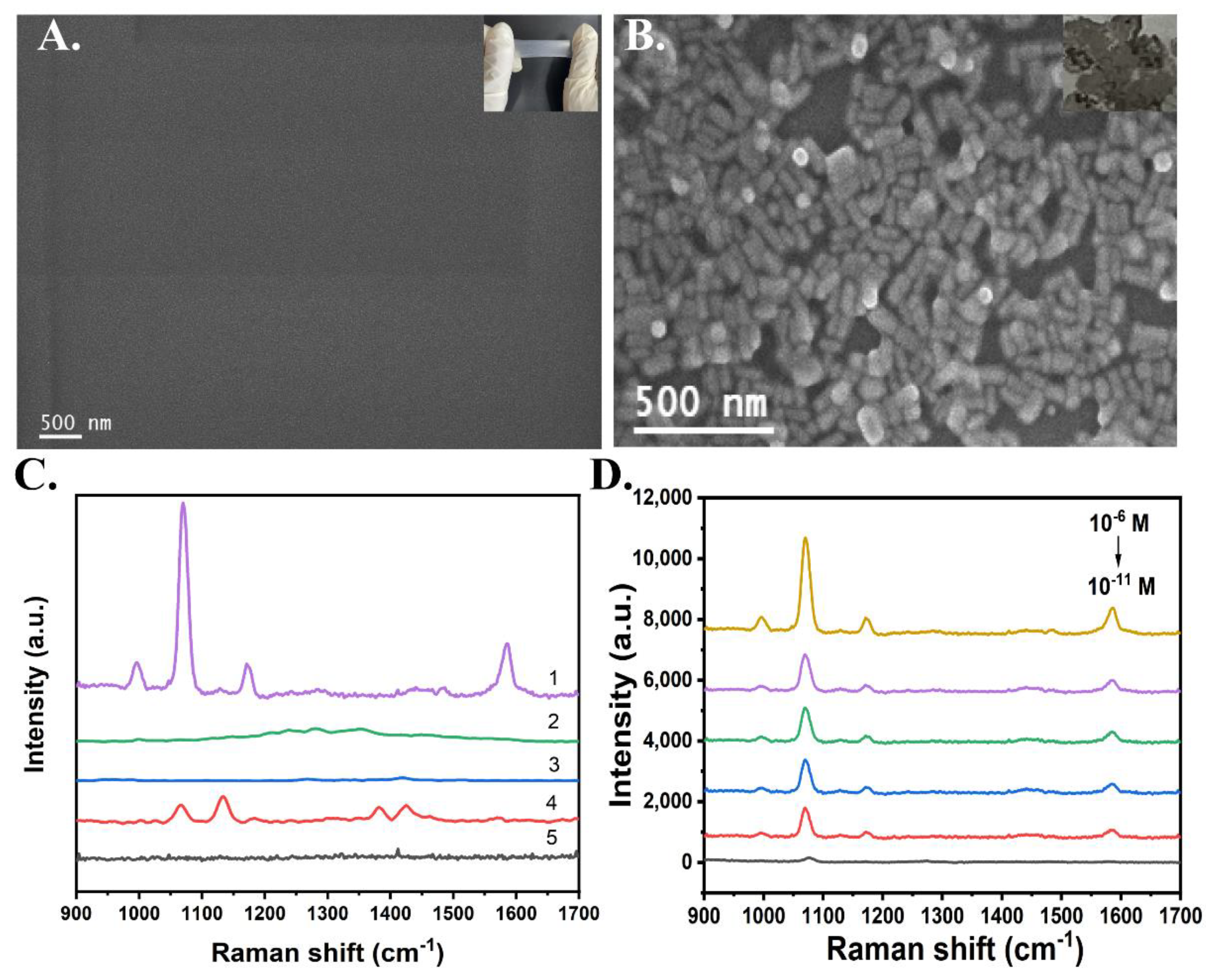 Chemosensors 10 00423 g002