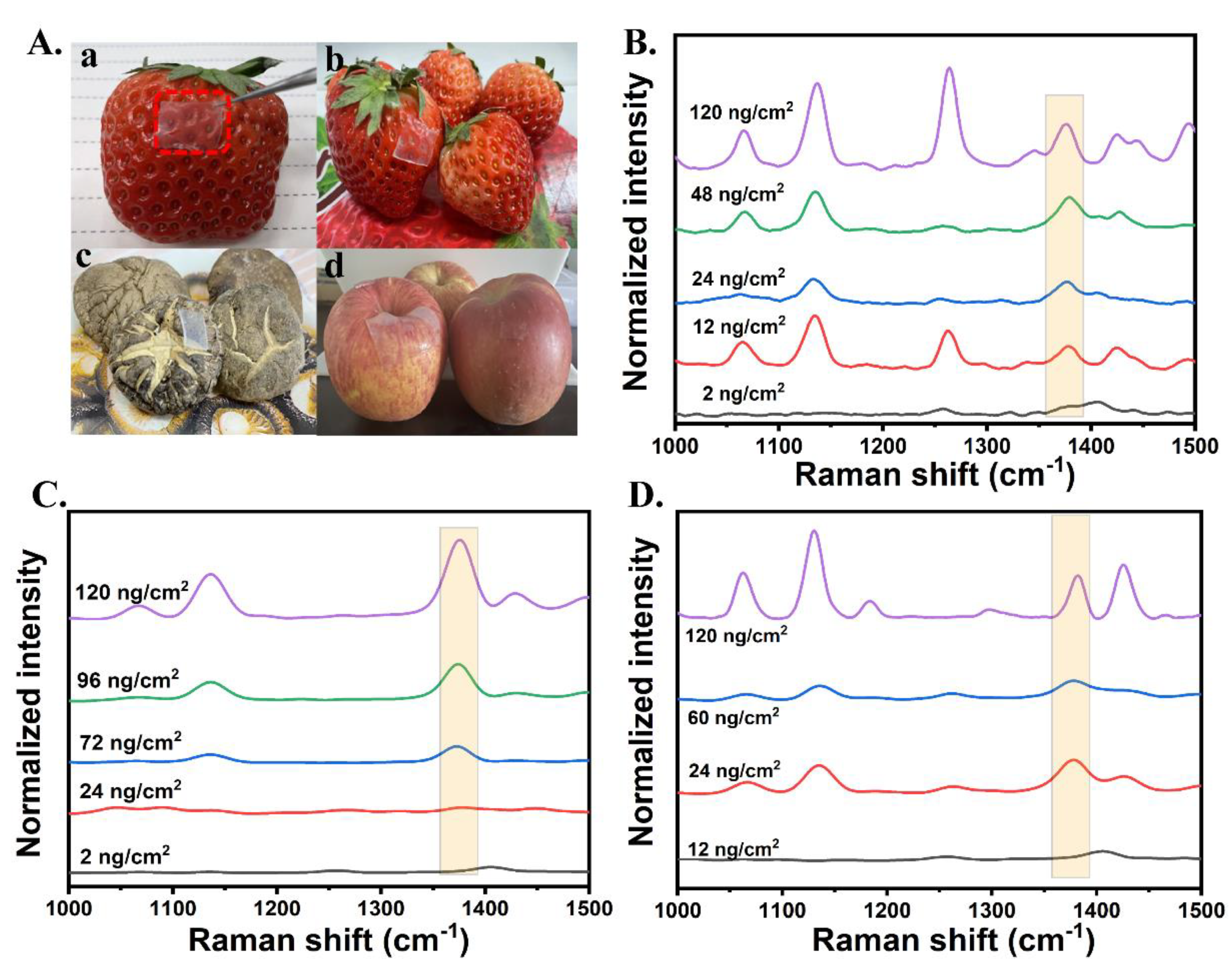 Chemosensors 10 00423 g005