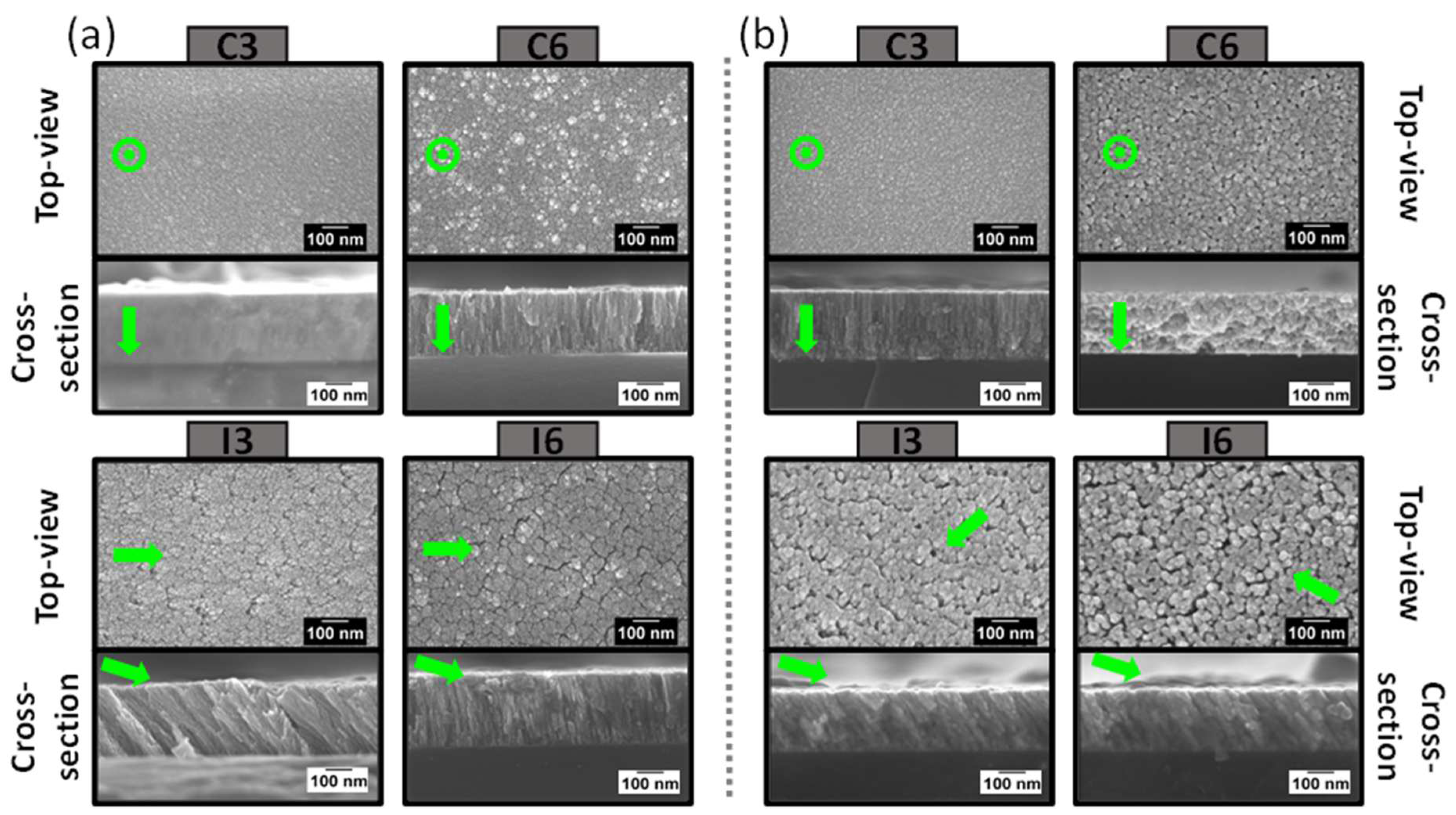 Chemosensors 10 00426 g001