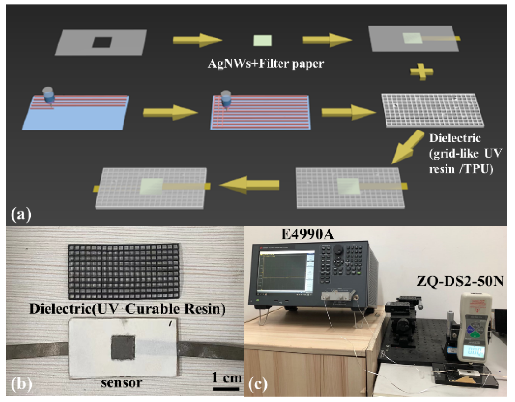 Chemosensors 10 00432 g001