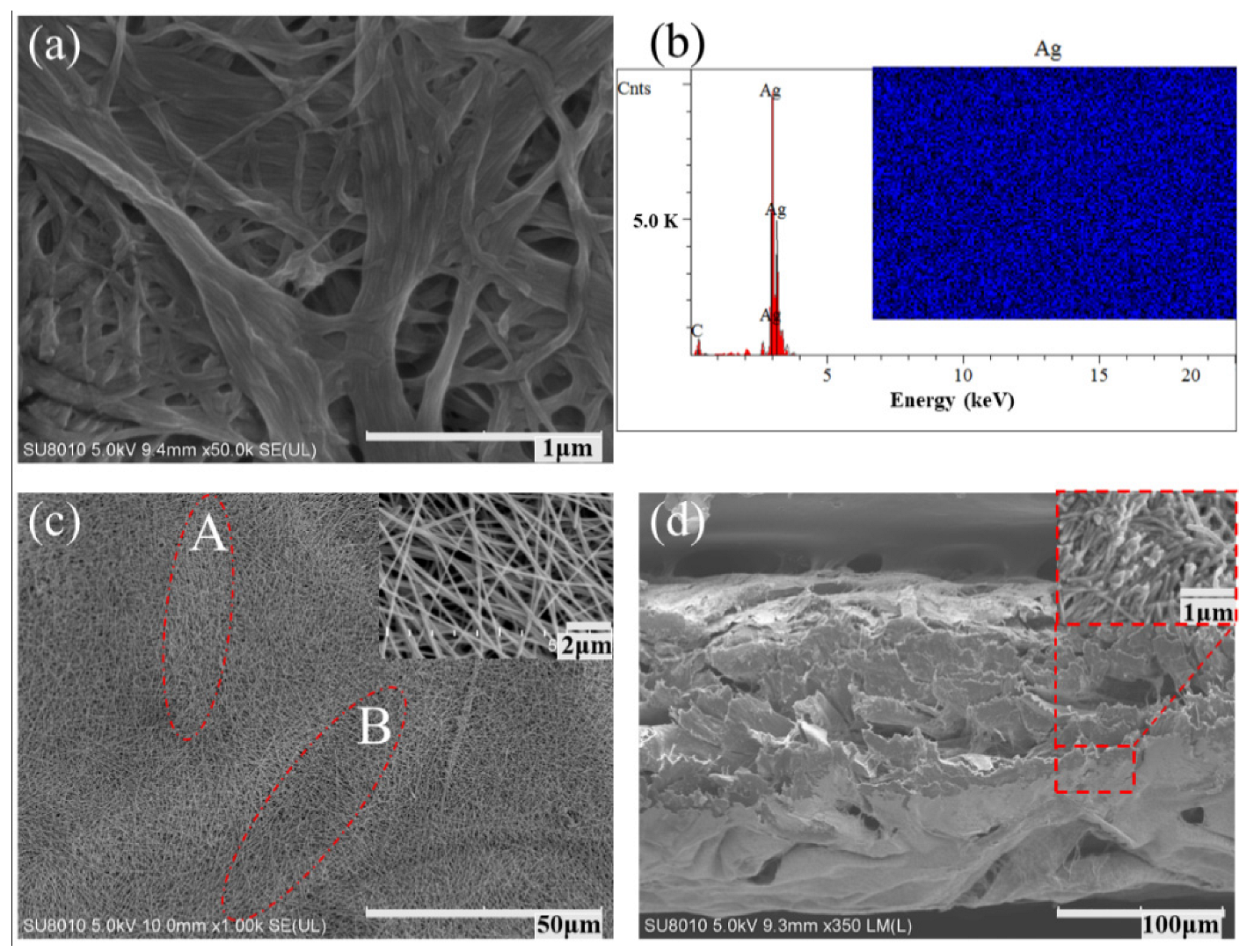 Chemosensors 10 00432 g002