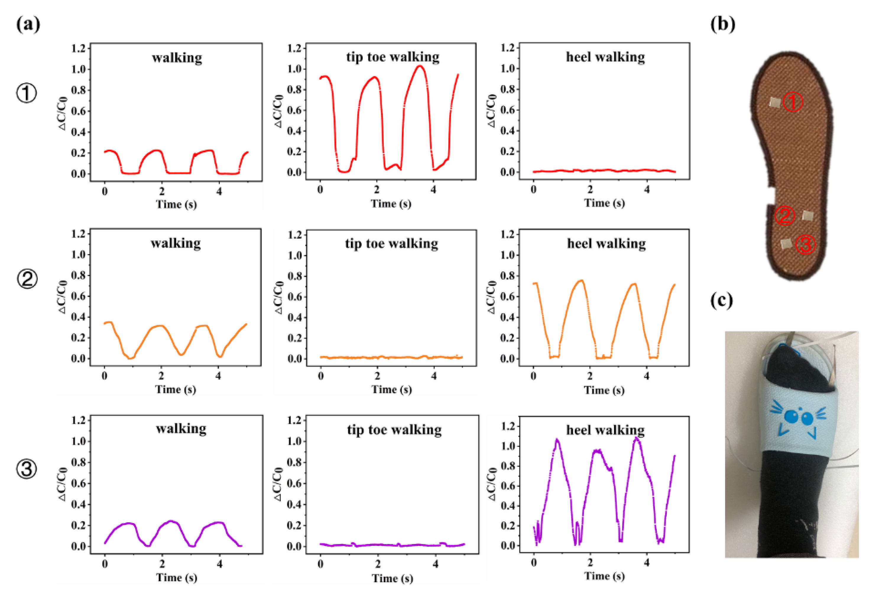 Chemosensors 10 00432 g006