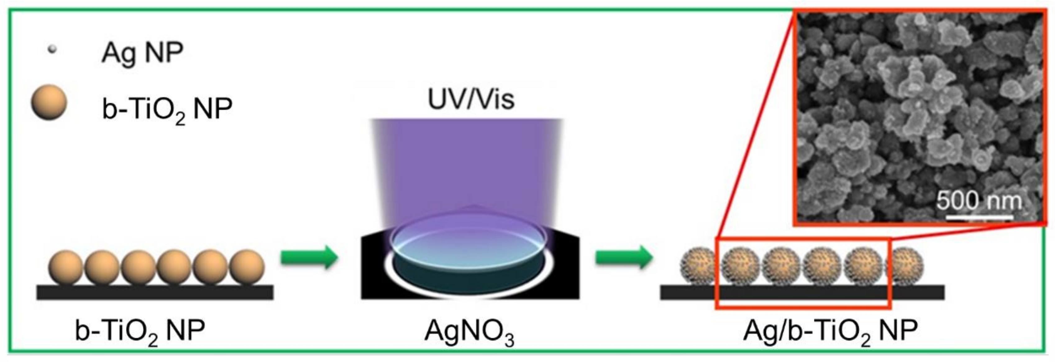 Chemosensors 10 00441 g001