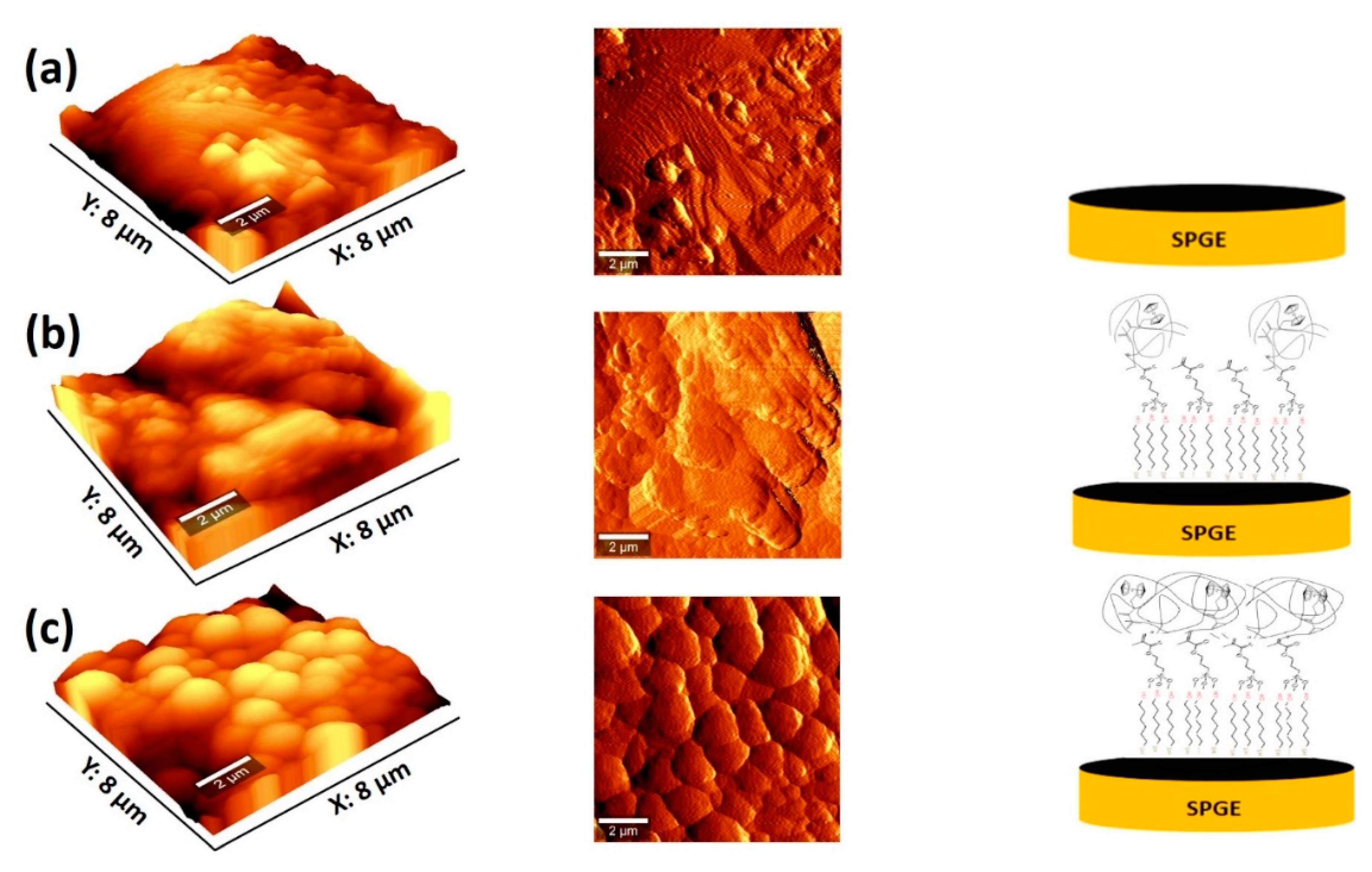 Chemosensors 10 00448 g001 Chemosensors 10 00448 g001