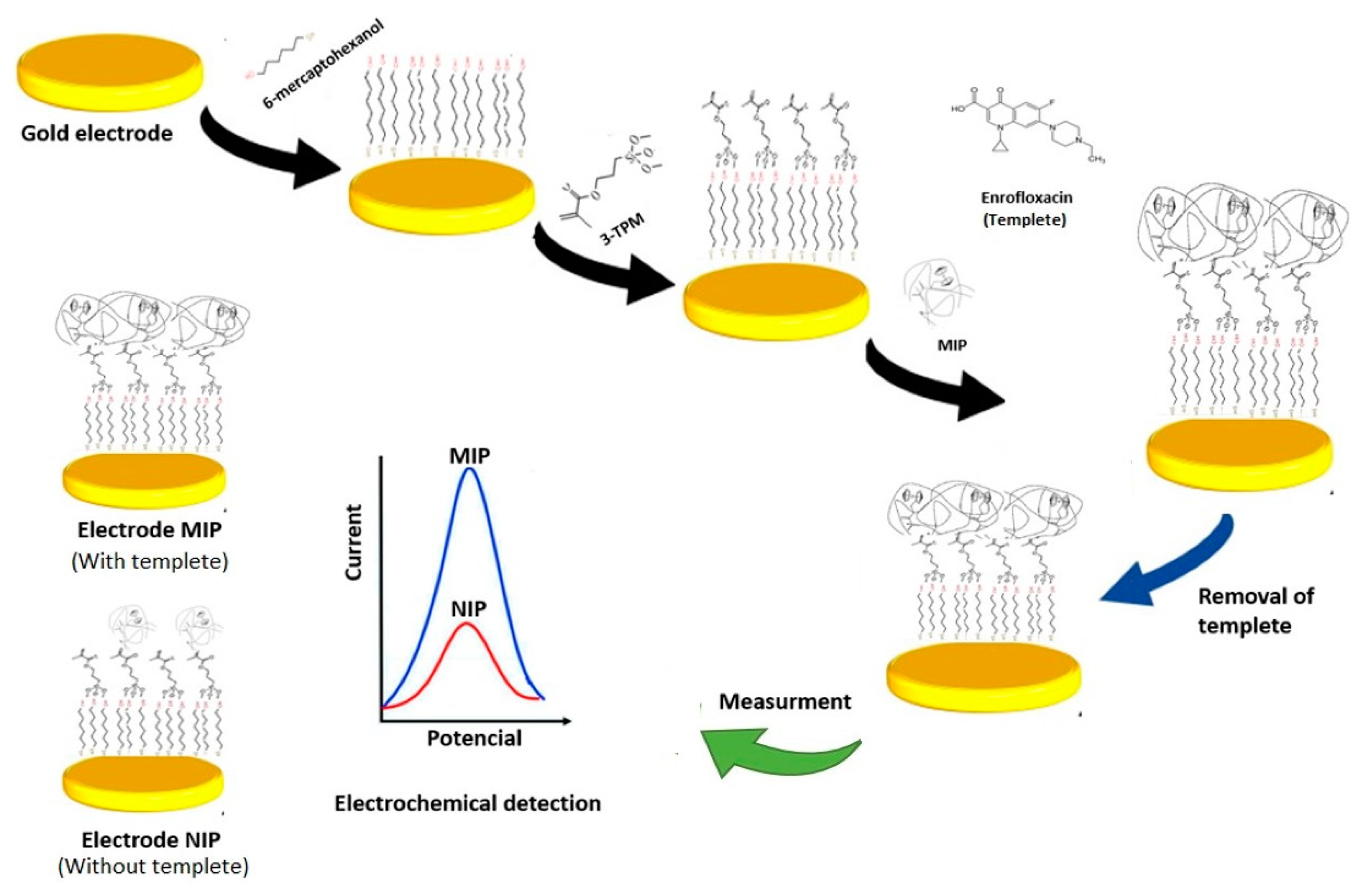 Chemosensors 10 00448 sch001 Chemosensors 10 00448 sch001