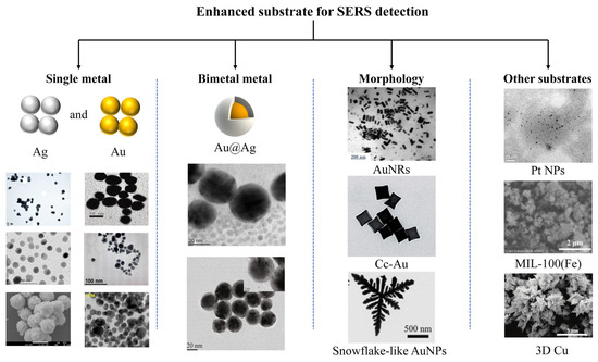 Progress of Microfluidics Combined with SERS Technology in