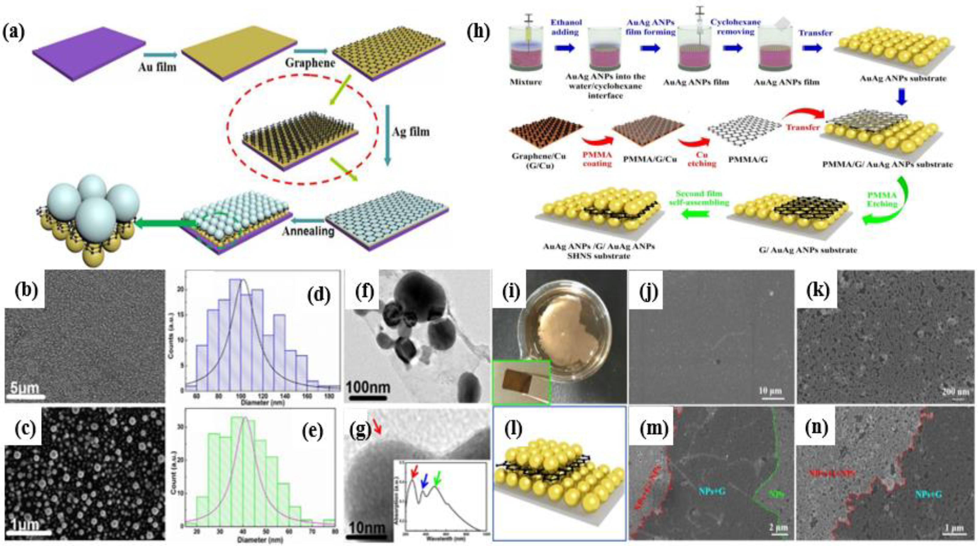 Chemosensors 10 00455 g005