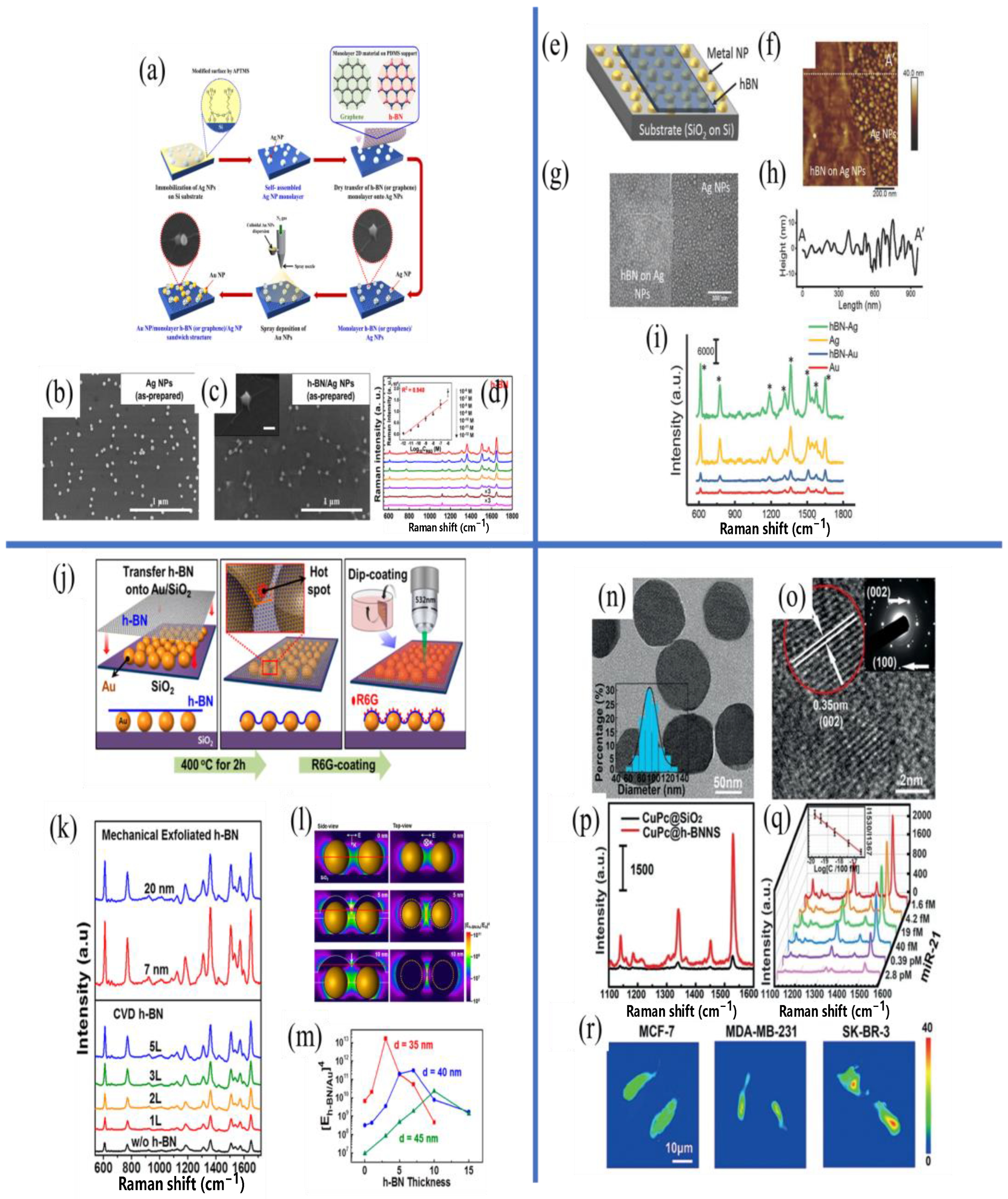 Chemosensors 10 00455 g006