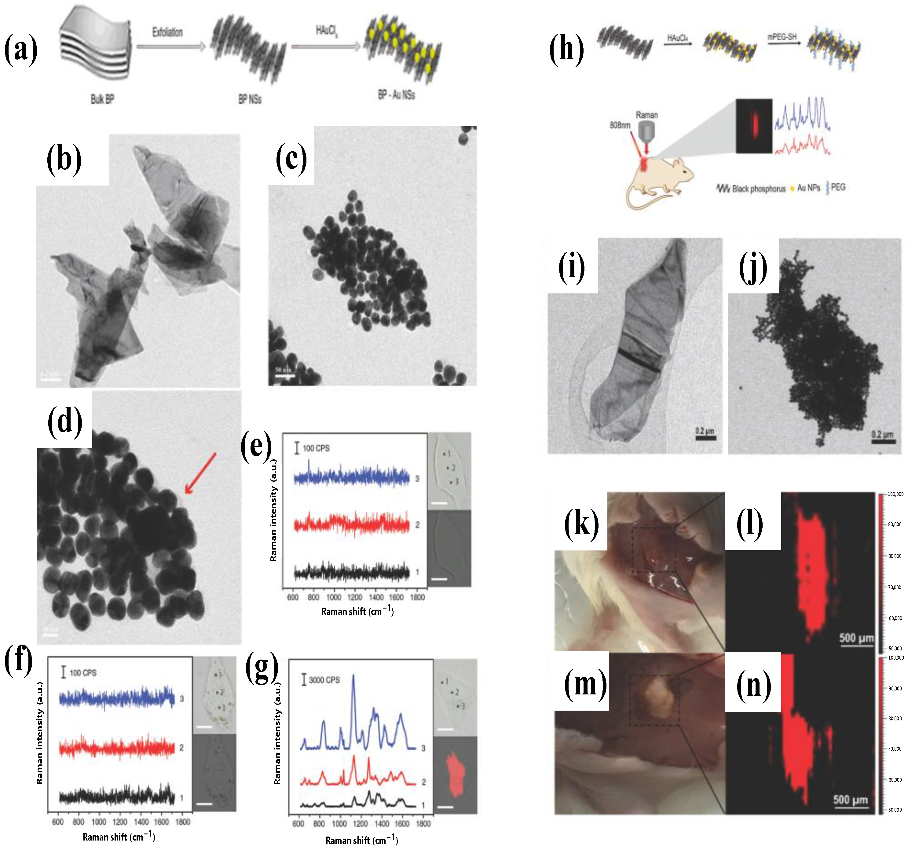 Chemosensors 10 00455 g007