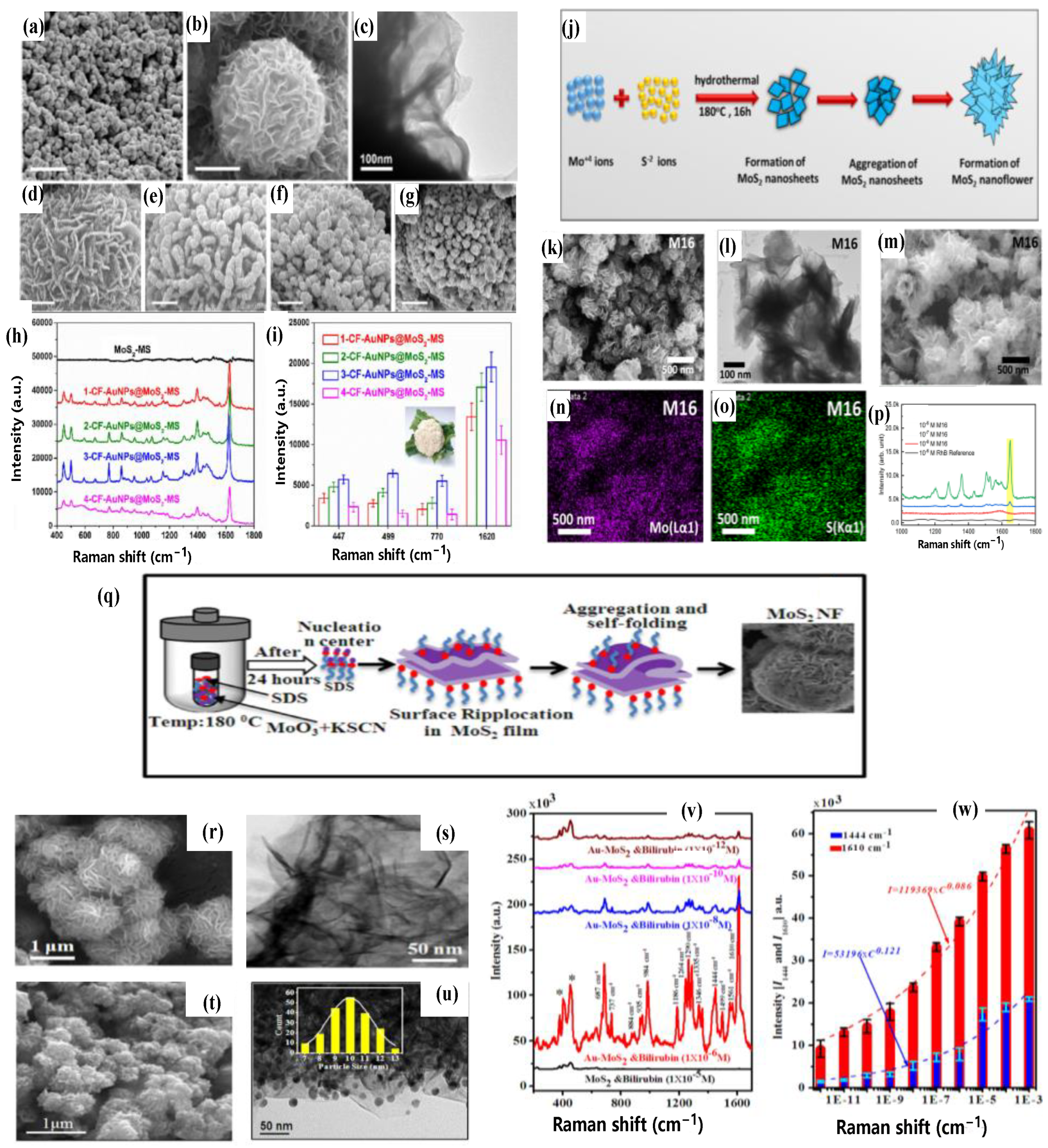 Chemosensors 10 00455 g010