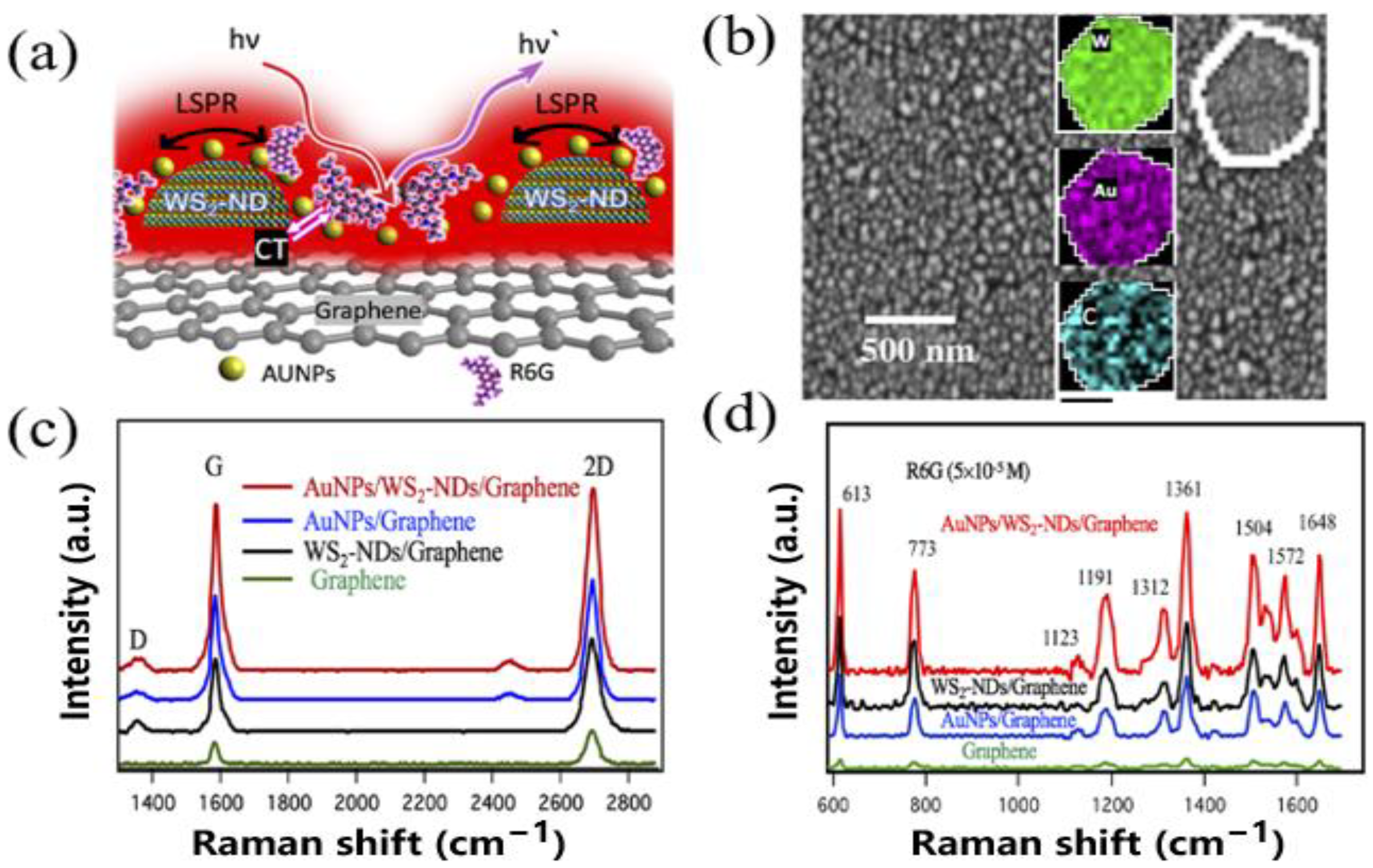 Chemosensors 10 00455 g013